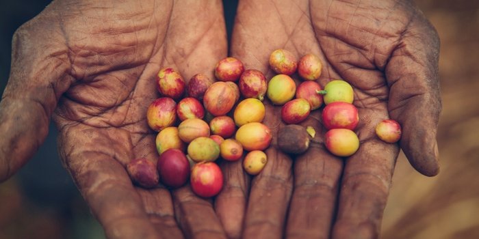 Image credit: KulaProject