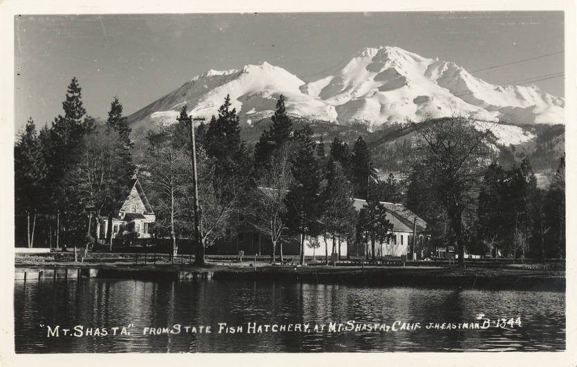 Shasta Fish Hatchery, circa 1935