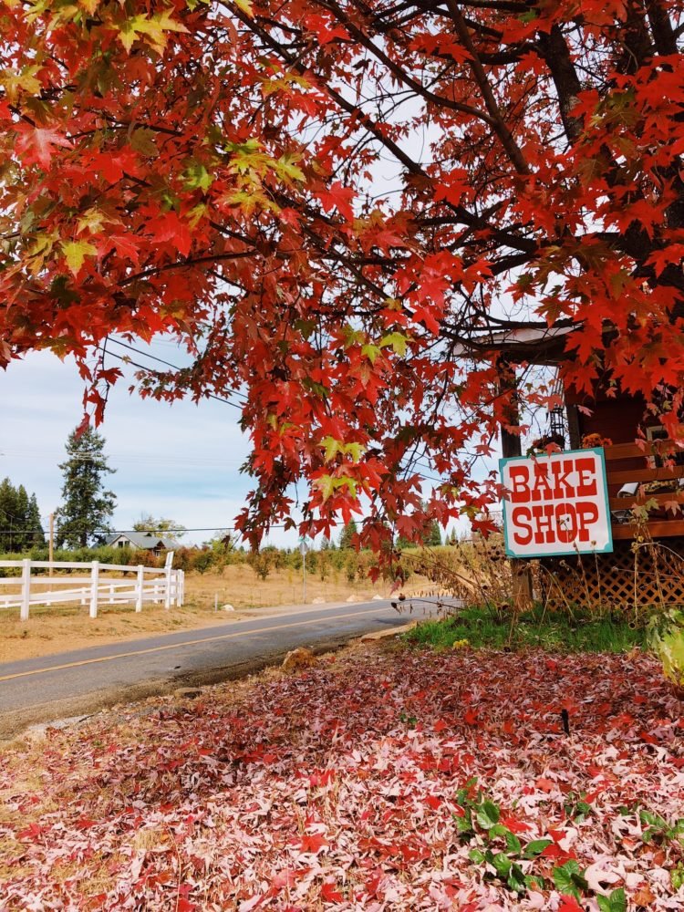 bake-shop-in-the-fall.jpg