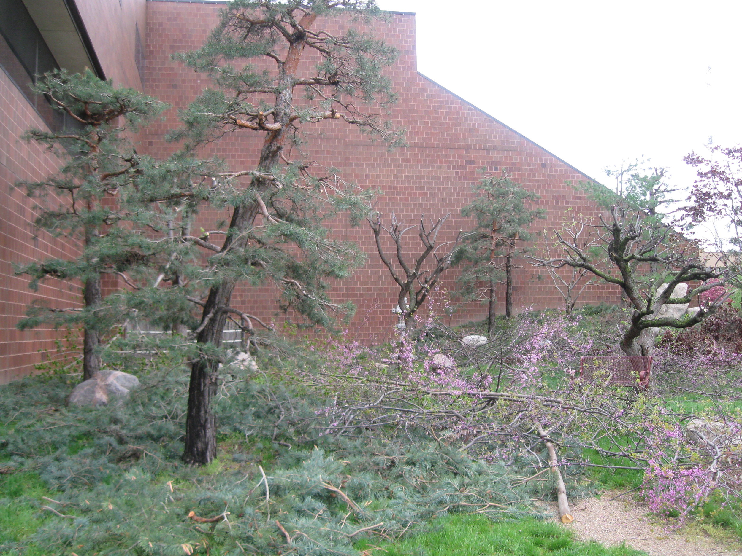 5-7-2013 321.JPG