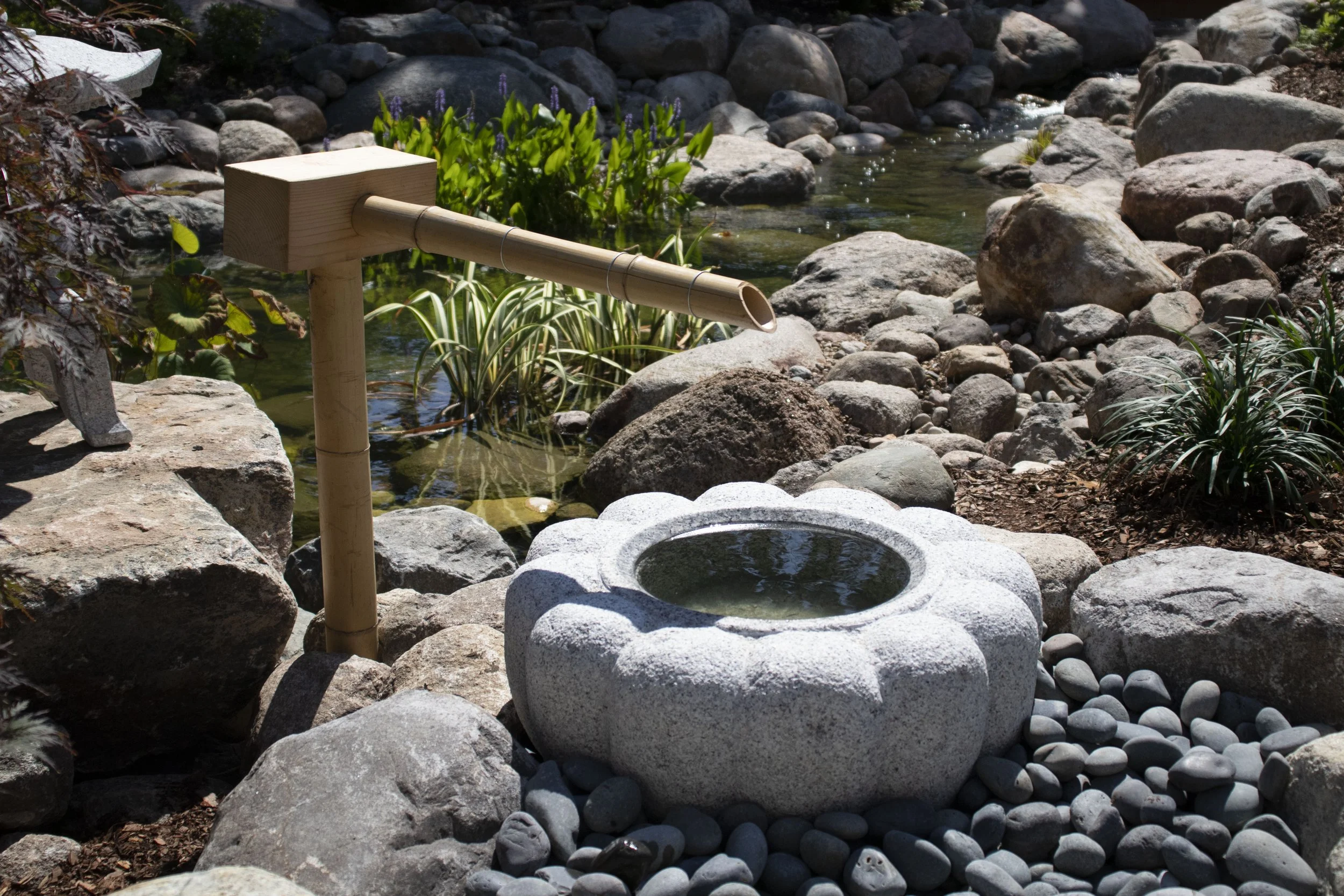 Bamboo Water Fountain