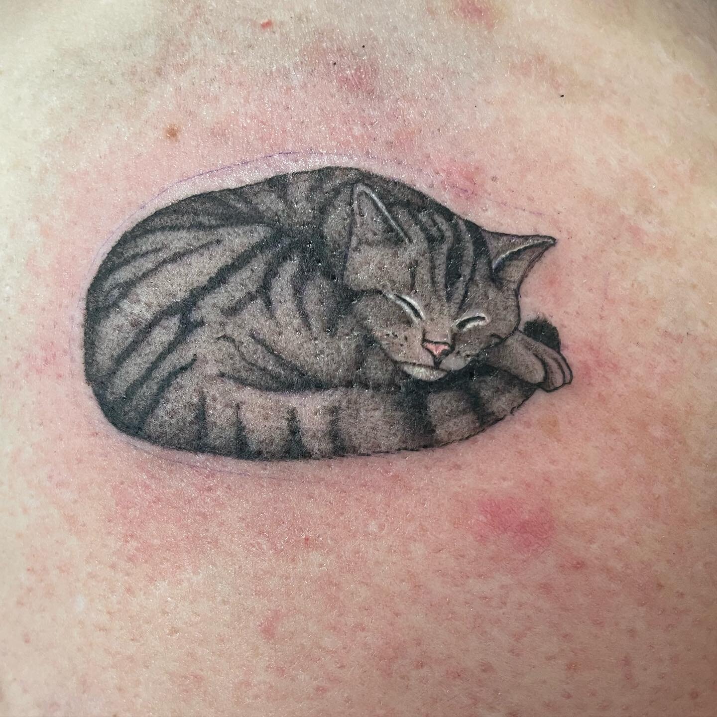 Small weee cat tatt 🔥💖🔥