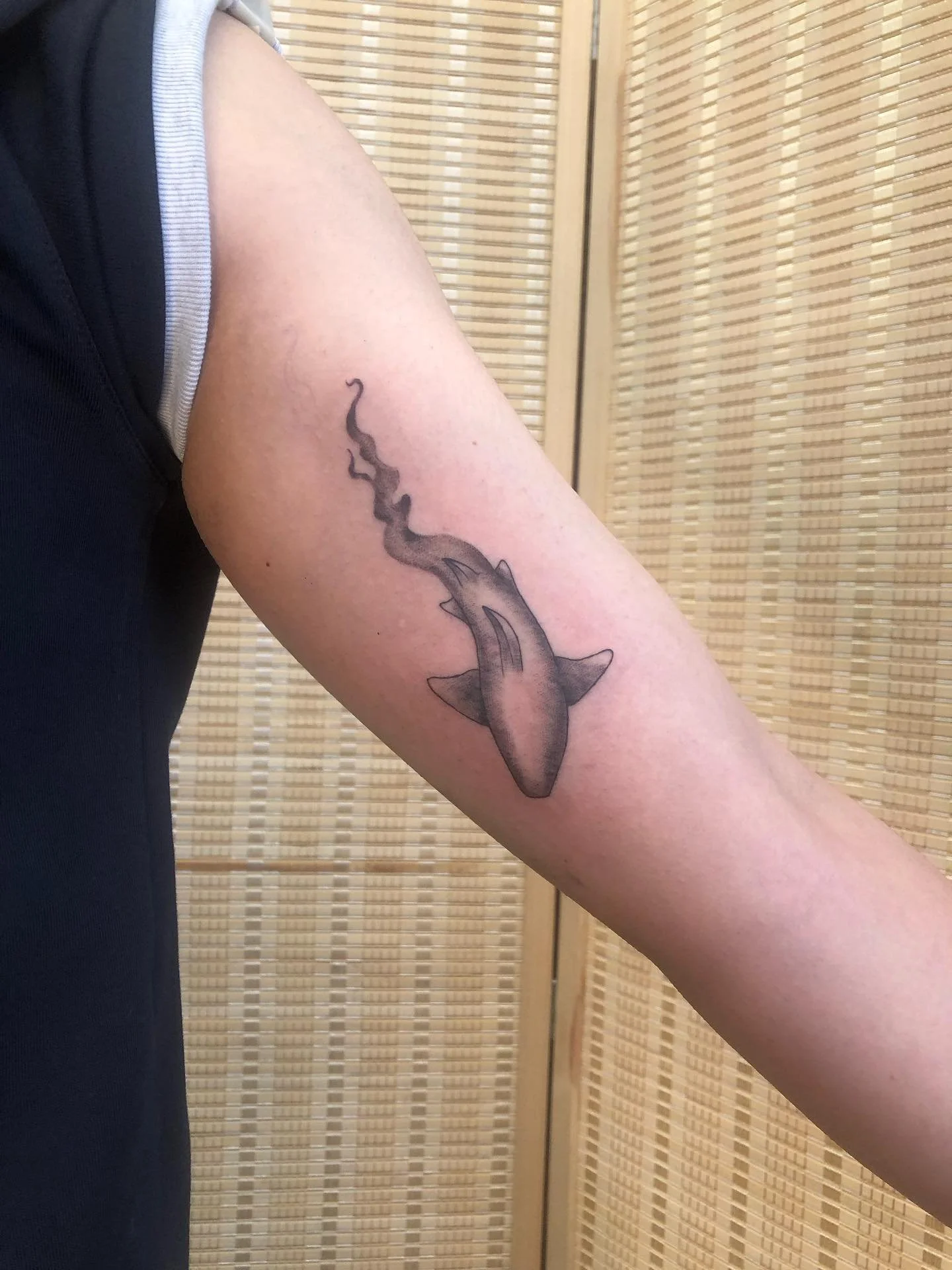 A cute redraw of some old flash🦈 Thank you for dropping by! 

Studio: @drmorsetattoo 

#flashtattoo #nztattoo #wellingtontattoo