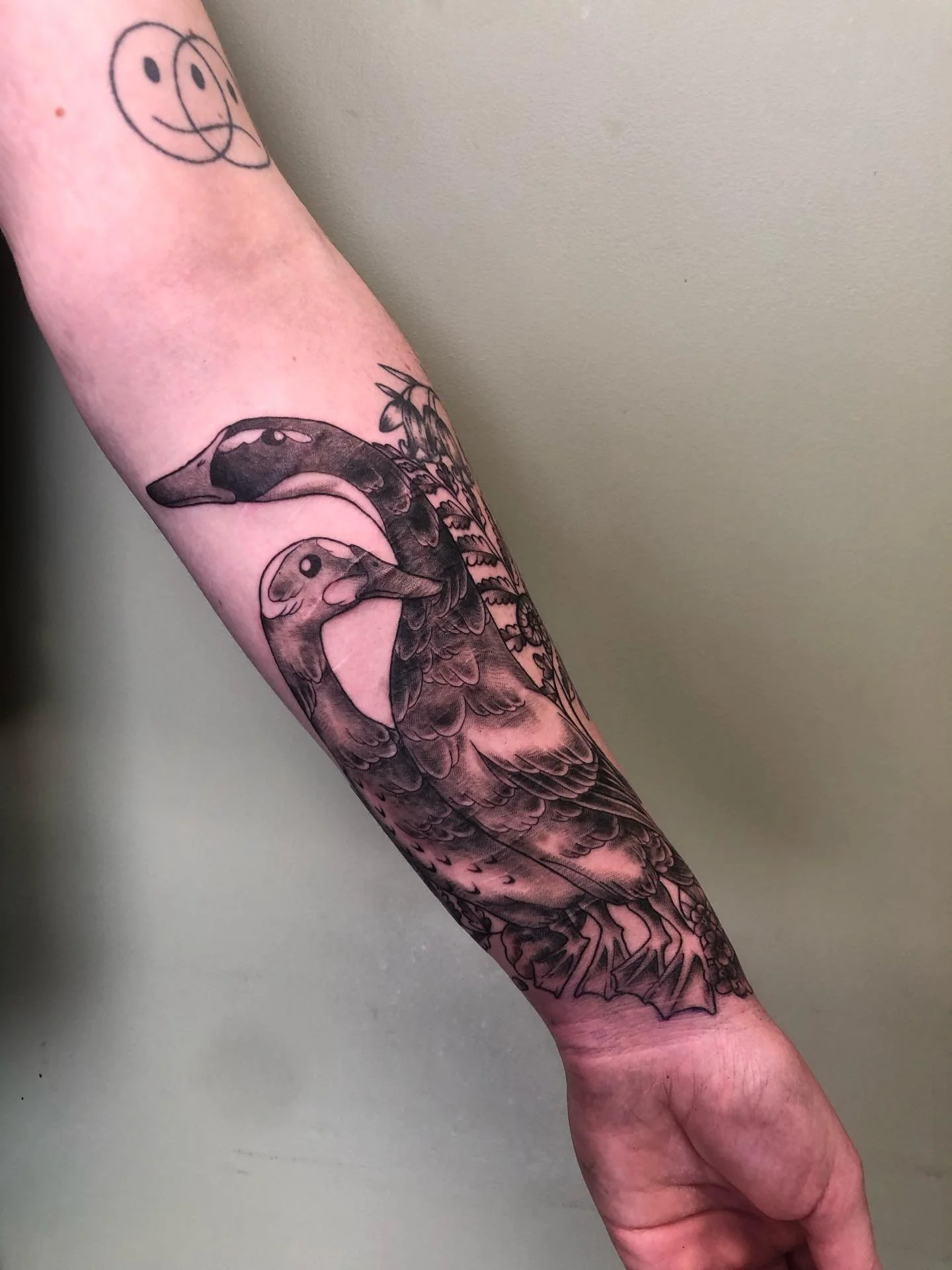 Some super cute runner ducks!! This was so cute to tattoo and it just happens to be a scar cover up. Thank you for coming in again, I had lots of fun with this one 🦆

Studio: @drmorsetattoo 

#tattoo #duck #ducktattoo #wellingtontattoo