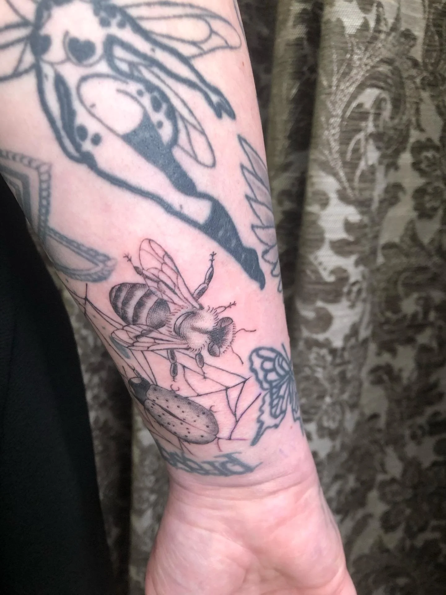 An array of creepy crawlies and critters a free hand spiderweb. Thanks Tayla for coming in again!! 🐞🐛🪲🕸️ 

Studio: @drmorsetattoo 

#bugtattoo #blackandgreytattoo #freehandtattoo #apprentice