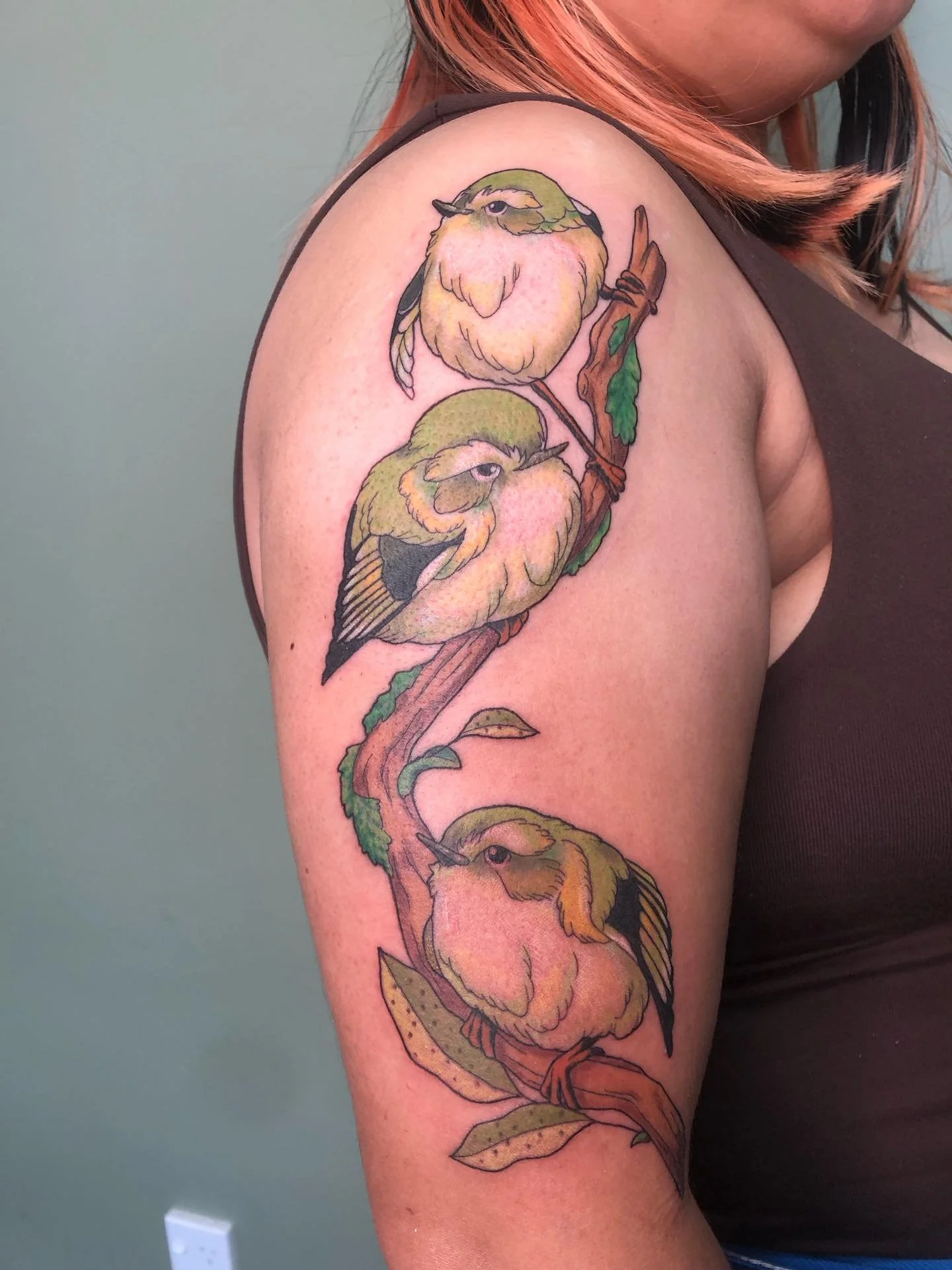 Some cute Titipounamu from my flash! Thank you Rox for coming in and choosing these angry little tennis balls ✨

Studio: @drmorsetattoo 

#nativenzbirds #birdtattoo #flashtattoo #wellingtontattoostudio #wellingtontattoo
