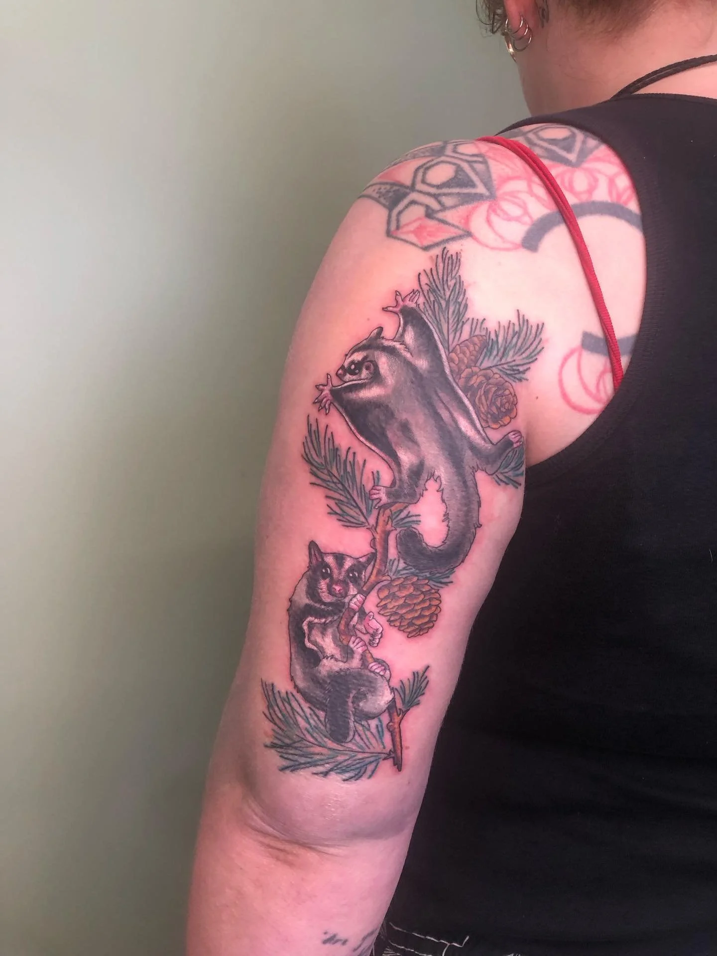 Some cute sugar gliders for Jess! Love these little critters, and pairing them with the pine needles was such a cute idea 🌼 

Studio: @drmorsetattoo 

#wellingtontattoostudio #customtattoos #sugargliders #wellingtontattoo