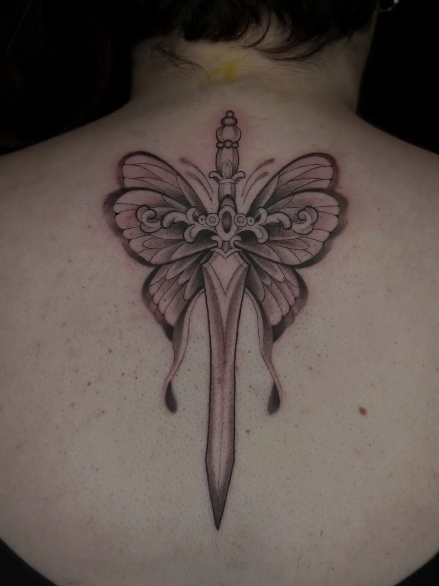 Butterfly x dagger flash claimed by the ever so lovely @spencernicole1601 𓂃 ࣪˖ ִֶཐི༏ཋྀ󠀮

Thank you so much Spencer for your continued trust &amp; support throughout the years, even from the early apprentice days 🥺 Such a privilege thank you 🤍
&bu