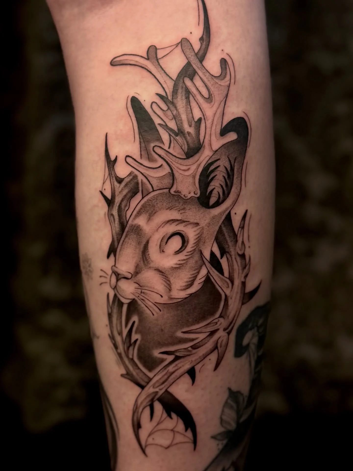 Jackalope adopted from my flash by the lovely Ari once again 🥳
Thanks so much, I love tattooing lil critters 
 ݁ ˖Ი𐑼⋆
 ( &acute; ᵕ `) 

📍@drmorsetattoo
💌🔗 link in bio for bookings