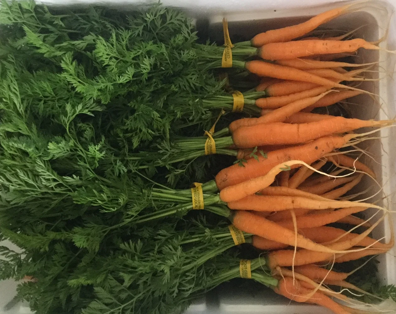 carrot+bunches.jpg