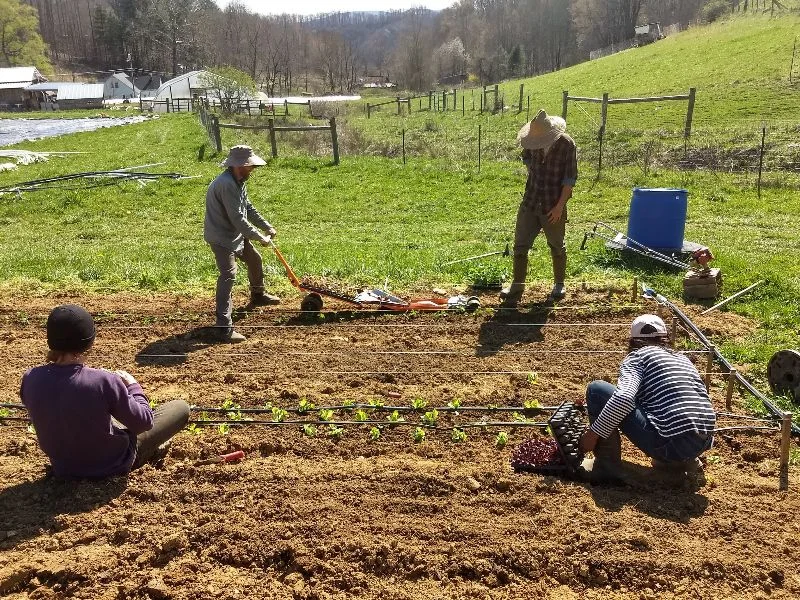 The Paperpot Transplanter