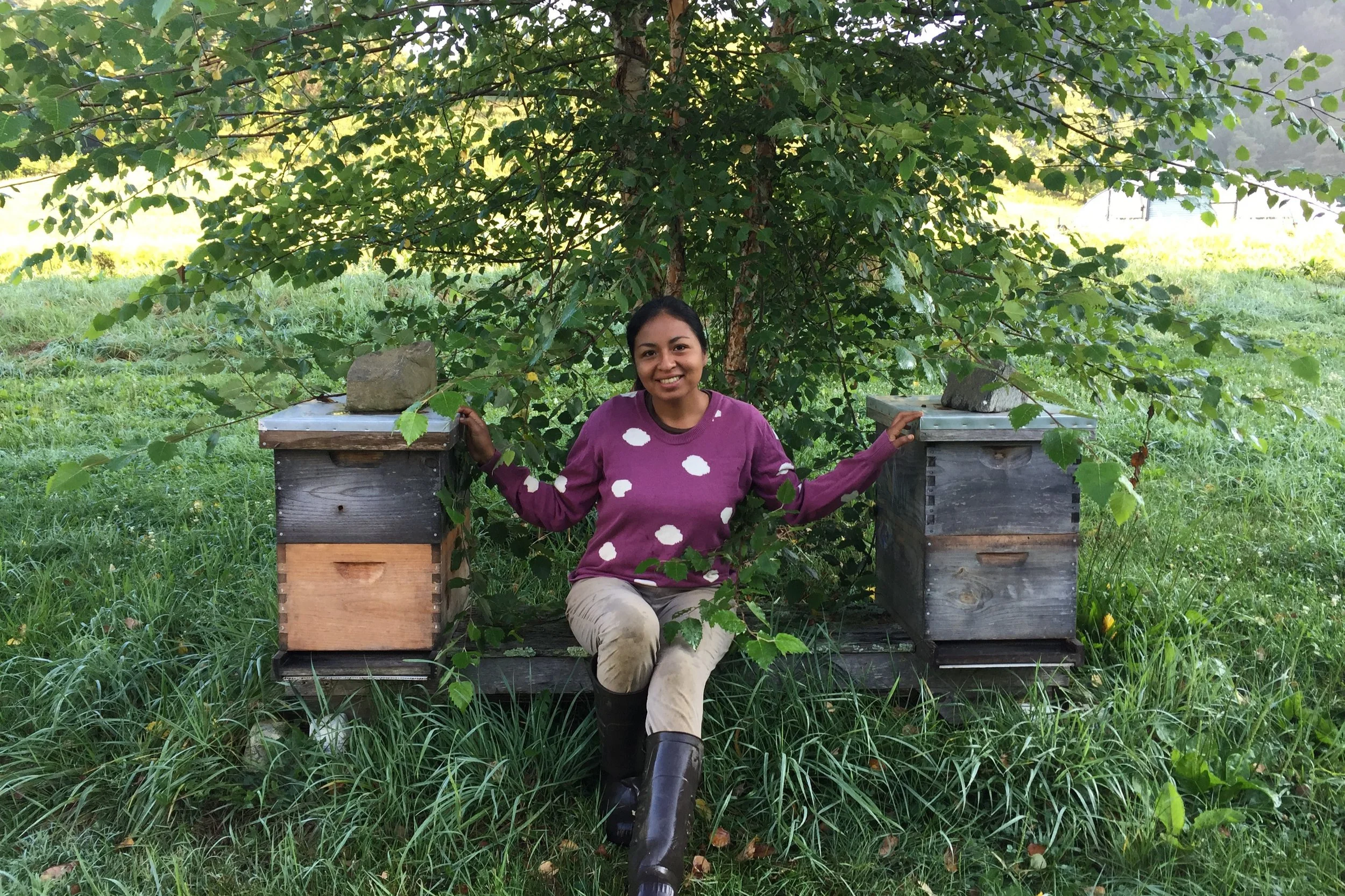 Apprenticeship Profile: Adriana Tapia