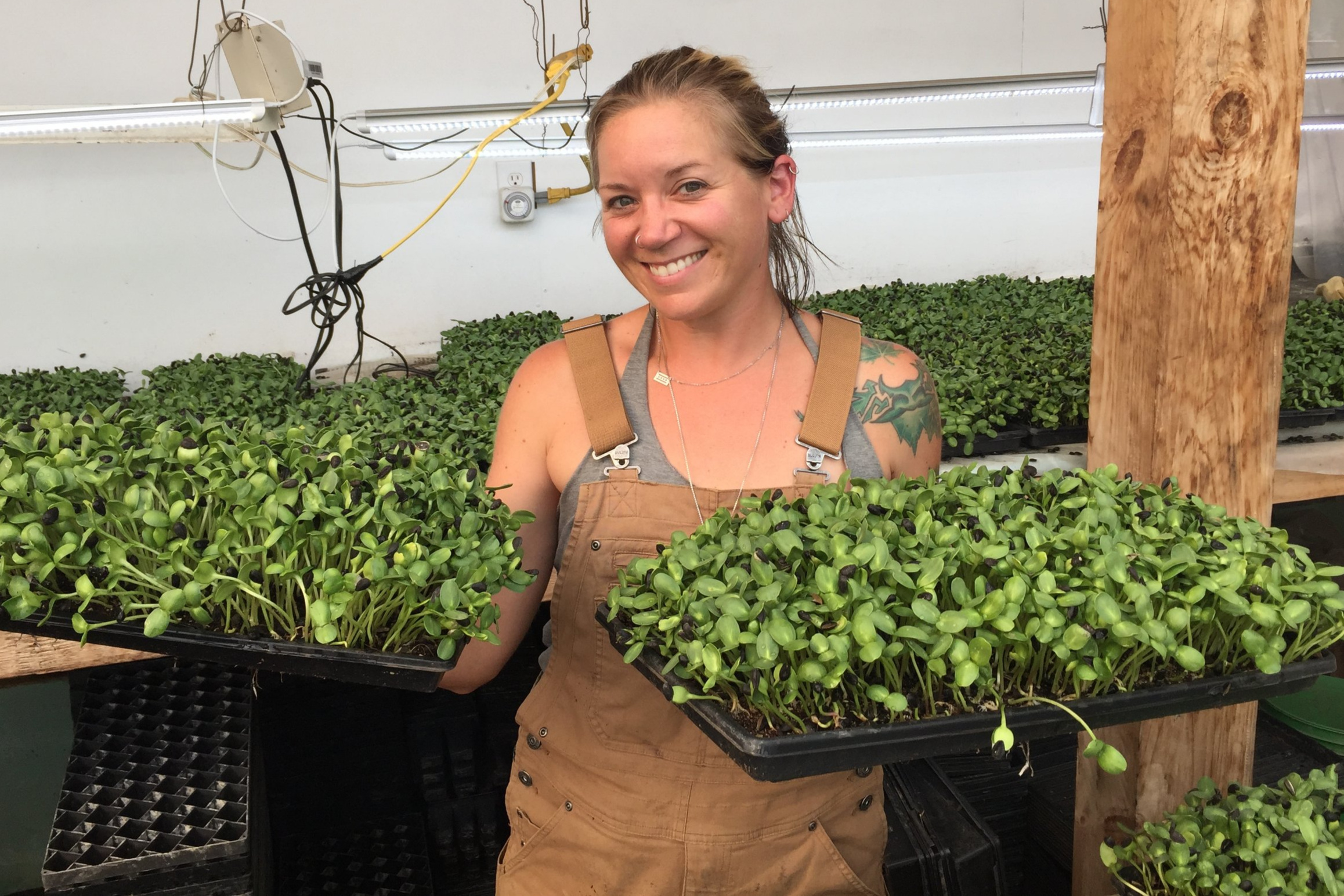 Apprenticeship Profile:  Kim Sowinski