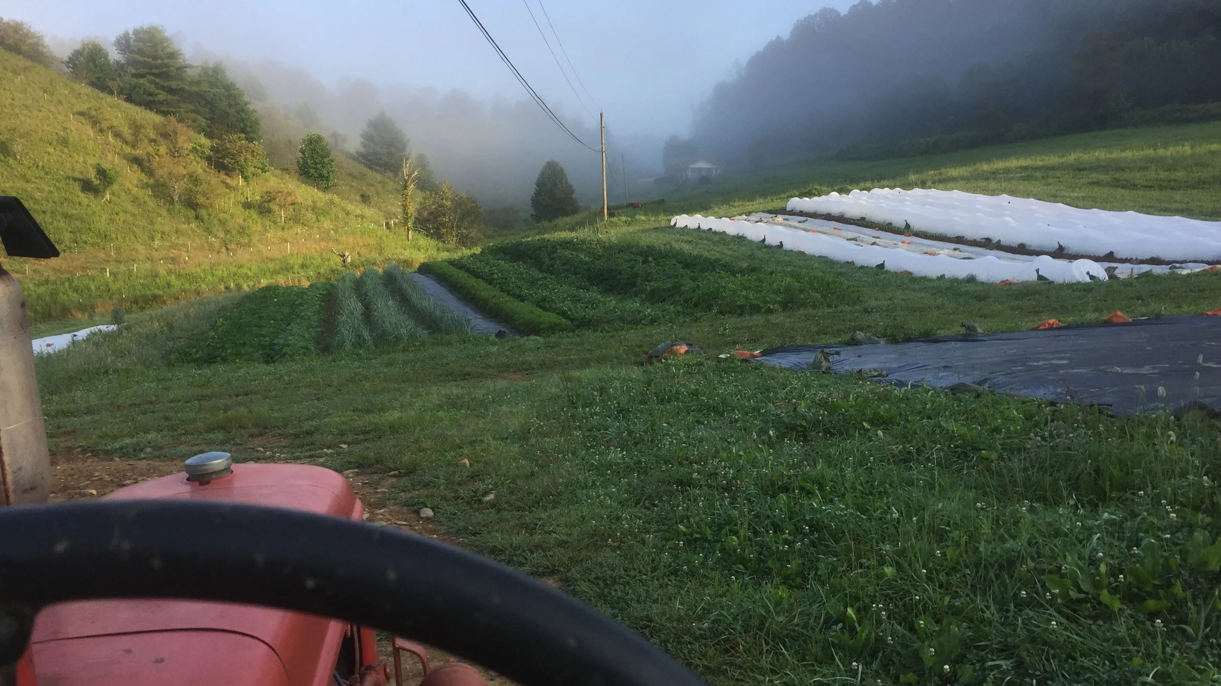 Second Spring 2019