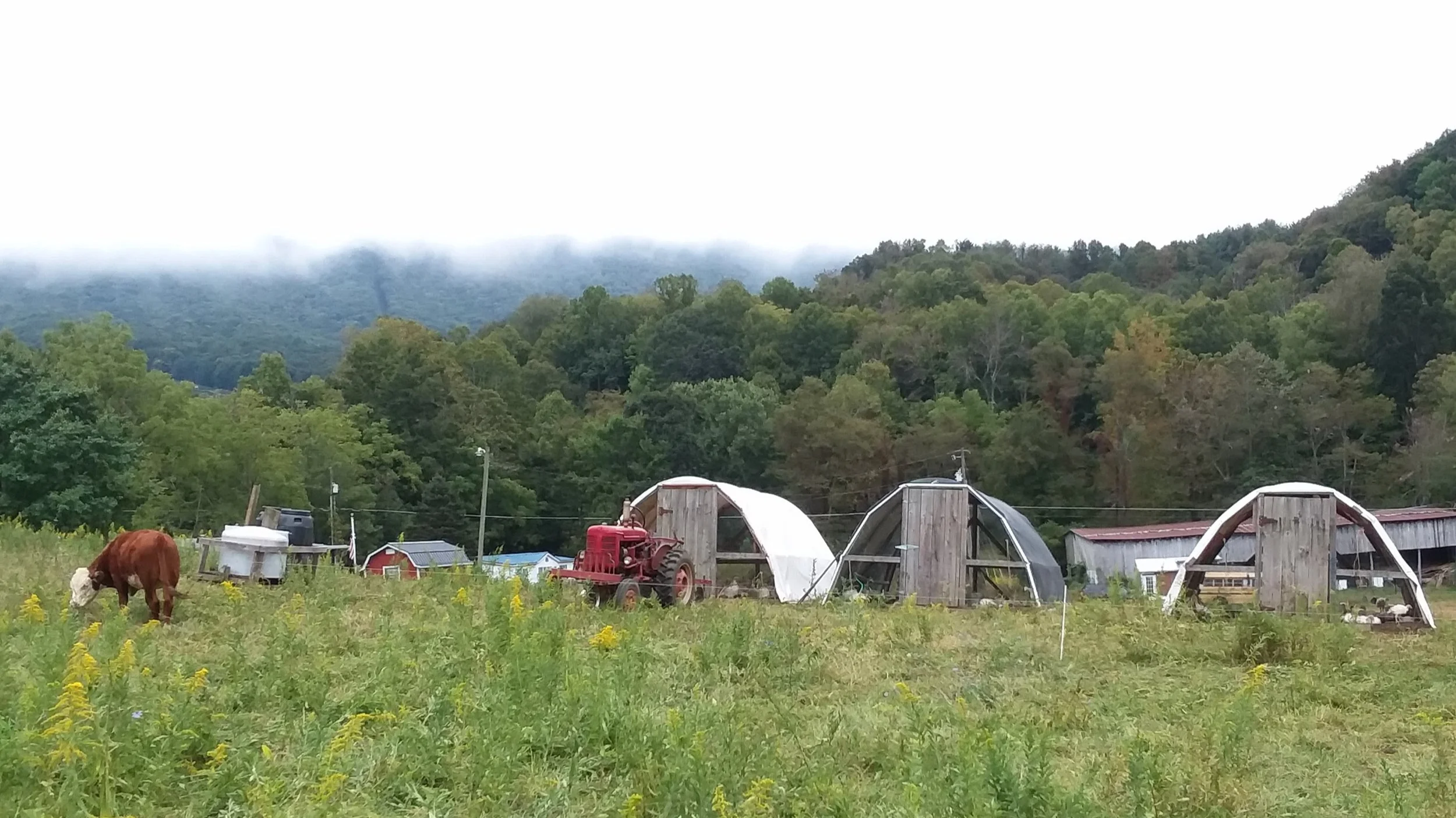 Fall Equinox Invites Reflection