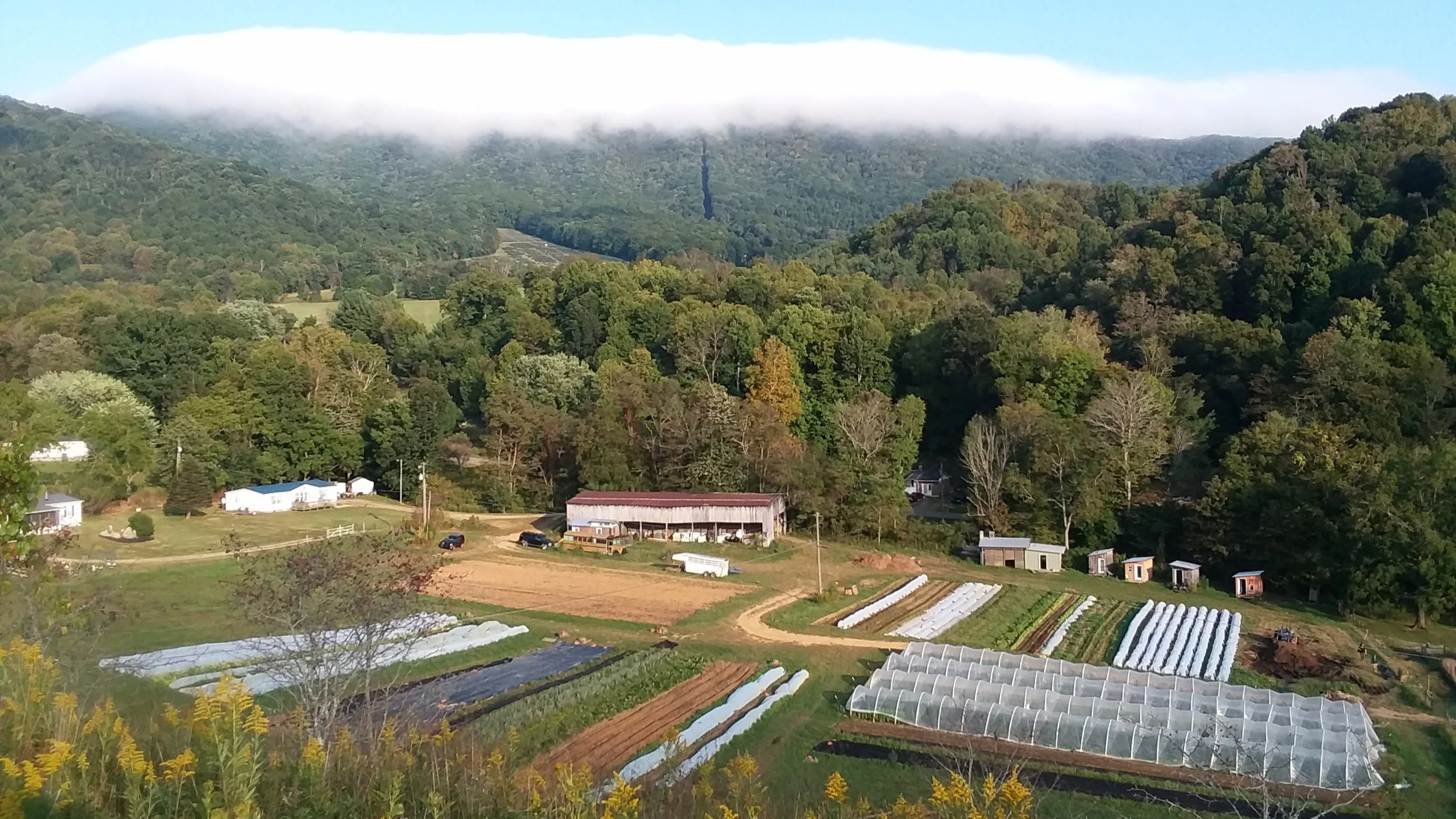 Regenerative Agriculture in the Face of Climate Change