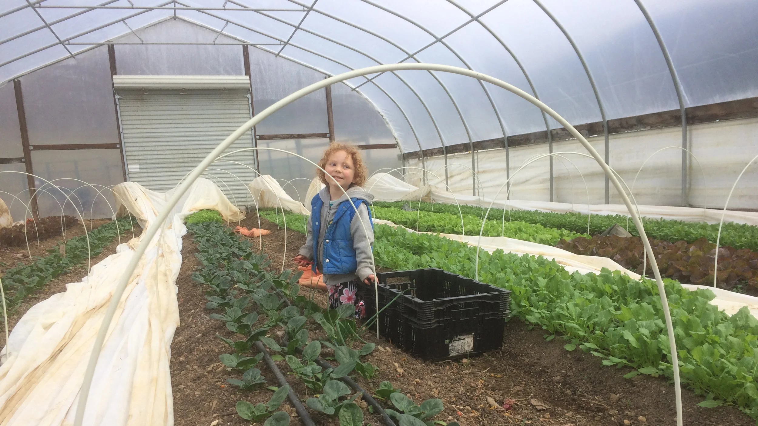 A Second High Tunnel Comes to ATG!