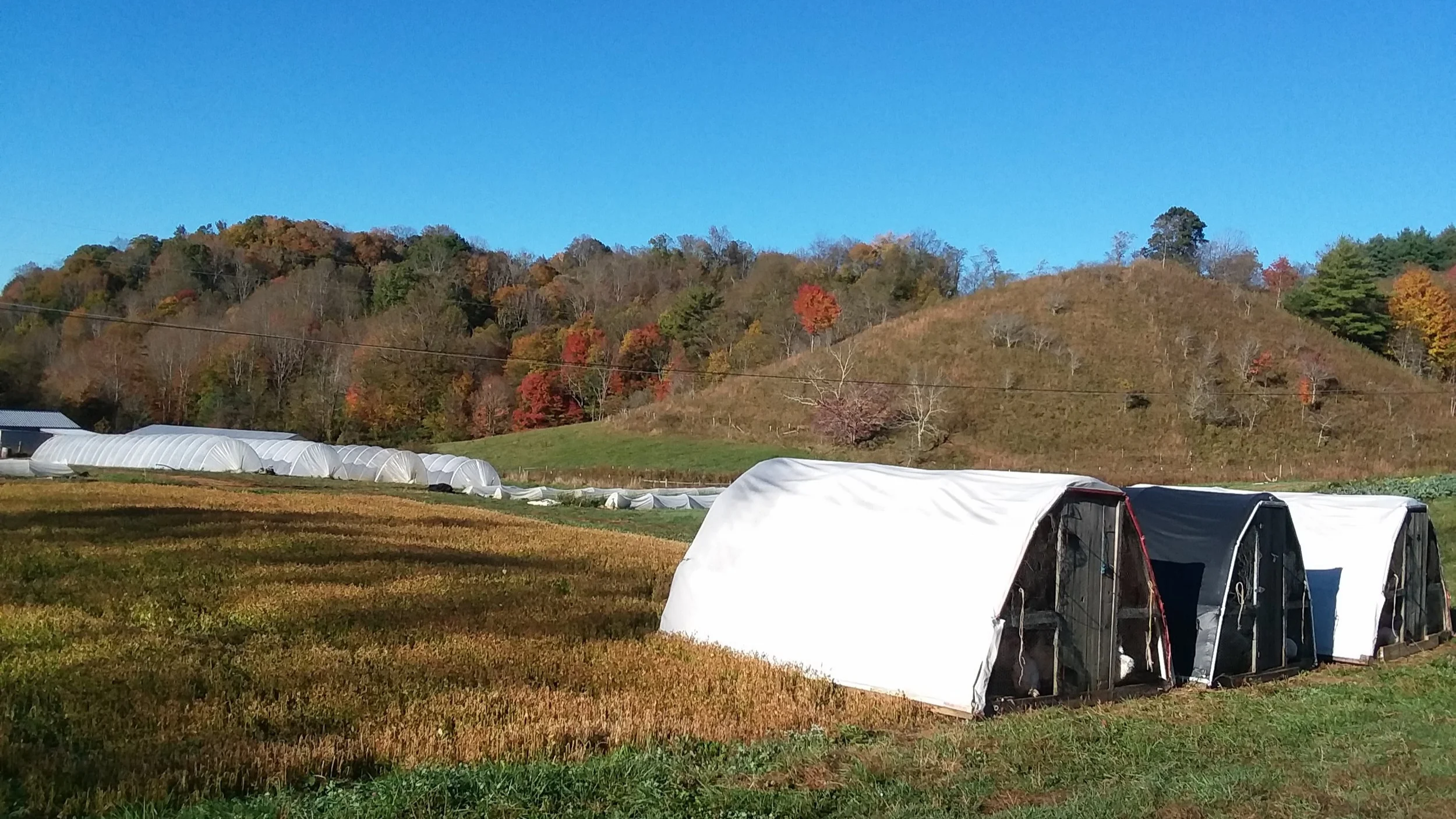 Preparations for Garlic Planting