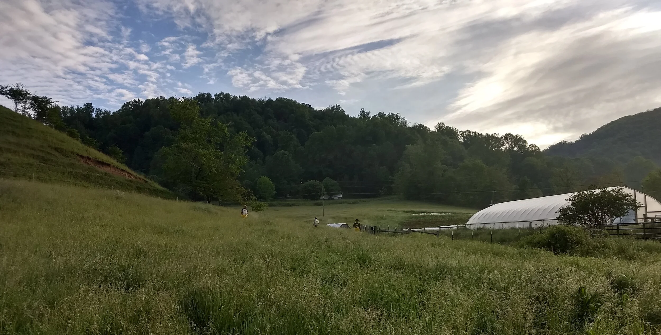 Sequential Biodynamic Spray