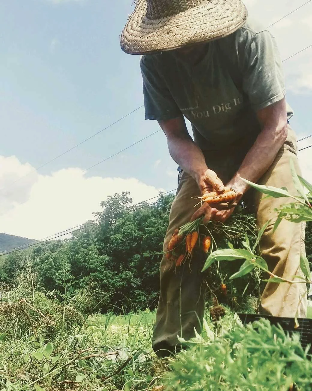 ATG Invests in the Soil!