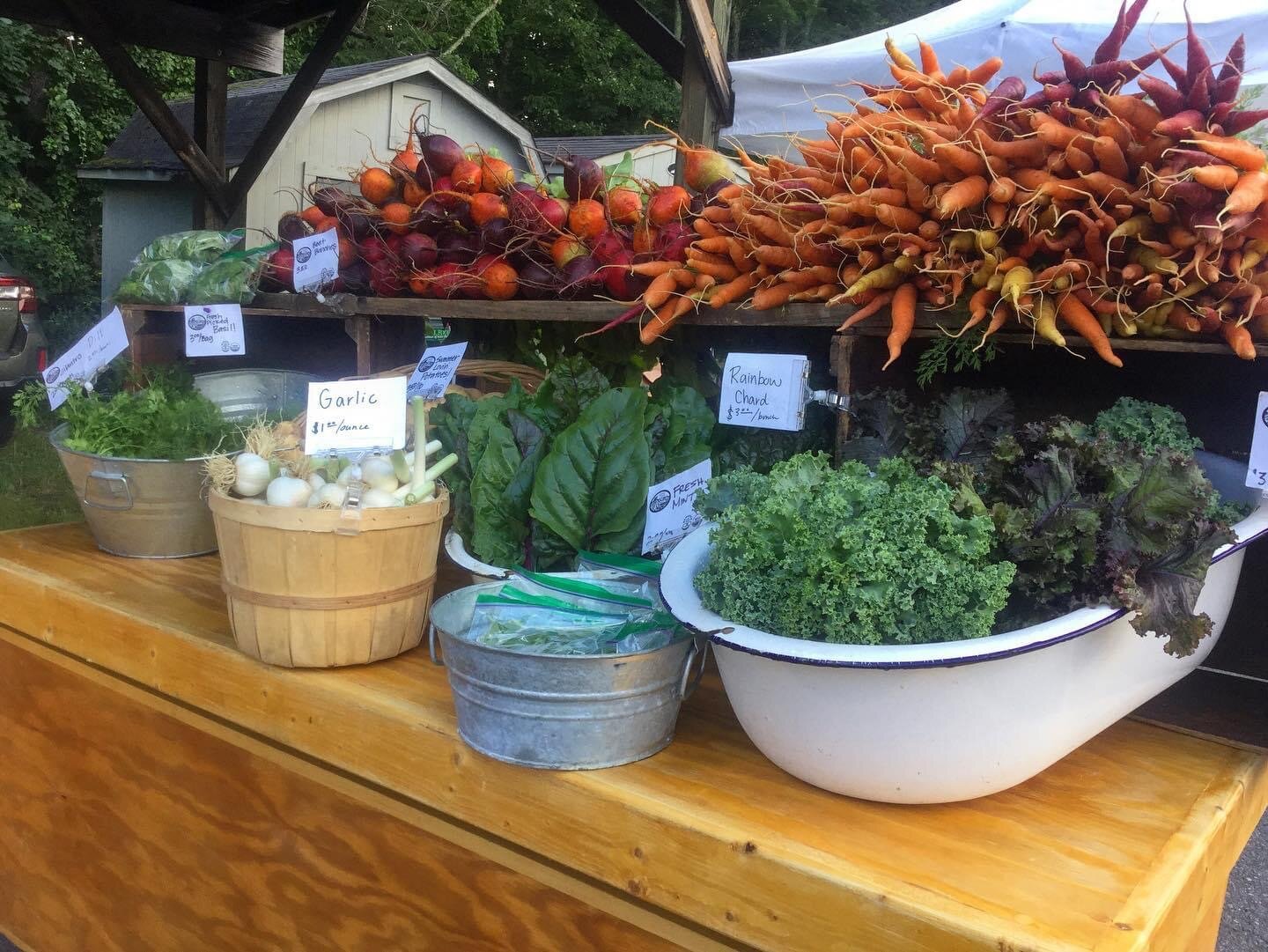 Help Increase Food Access in Watauga County!