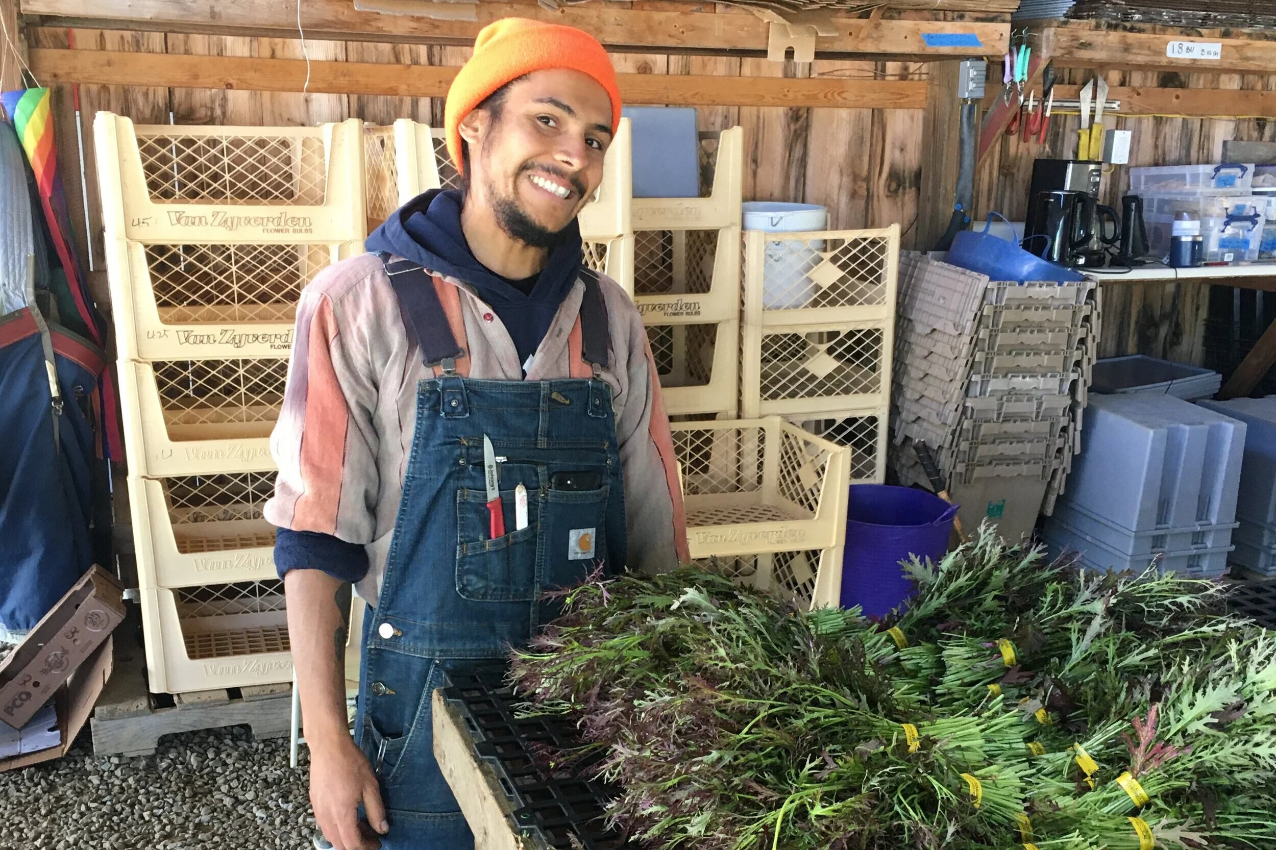 Apprentice Profile:  Alejo Salcedo