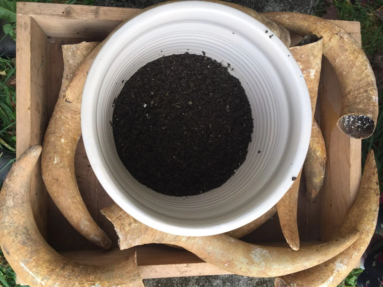 Ferments on the Farm