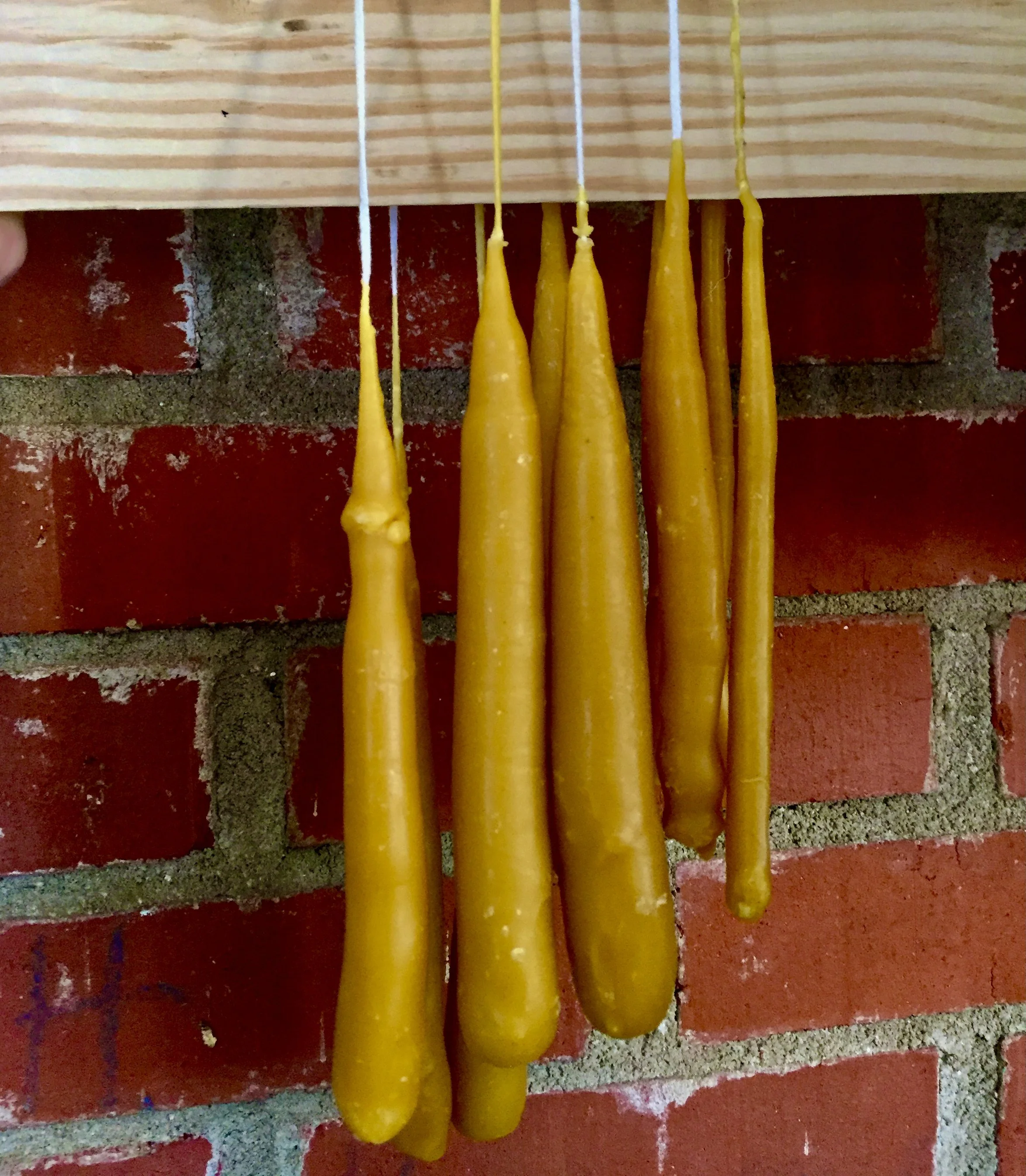 Candlemas Festivities at ATG