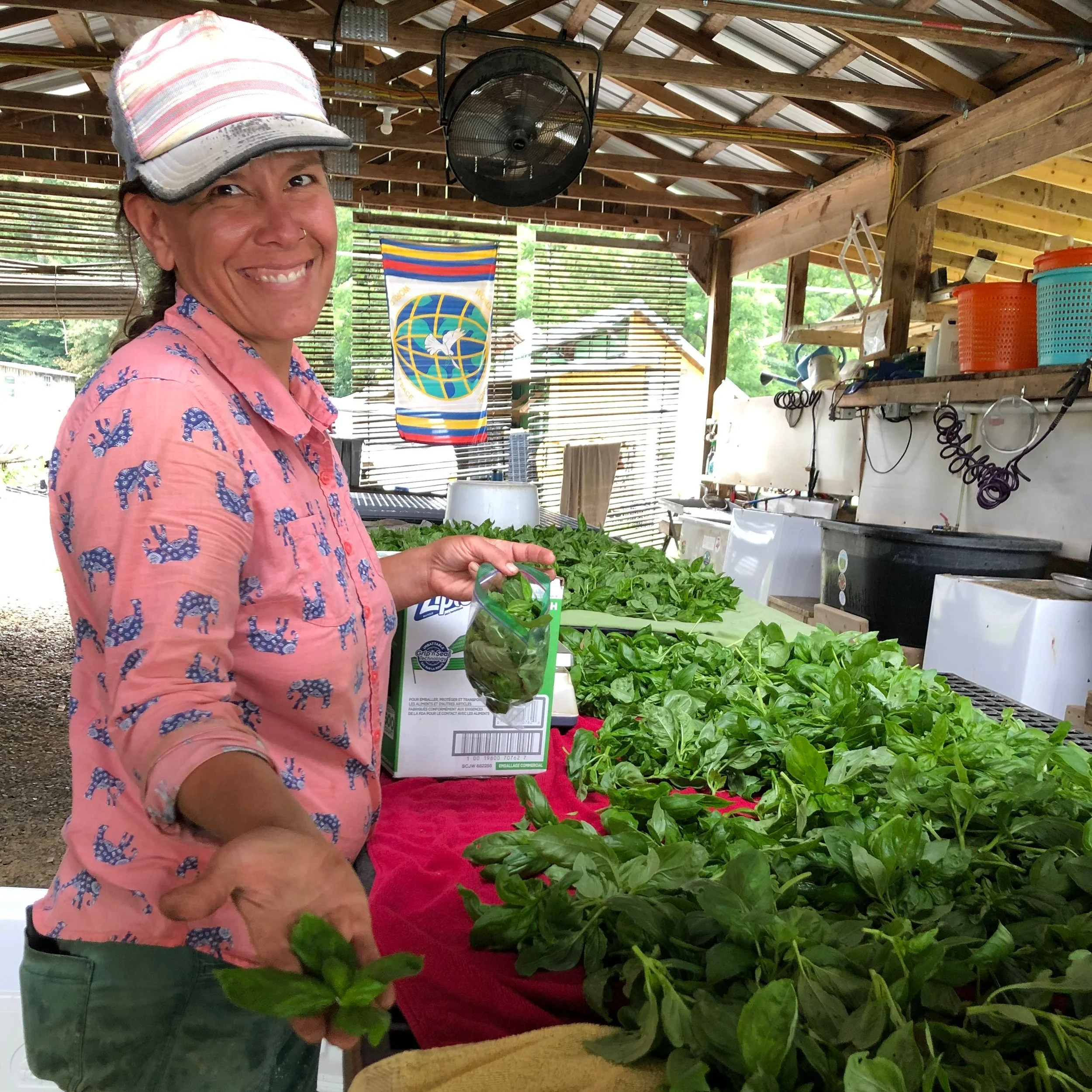 Crew Profile: Monica Gowan