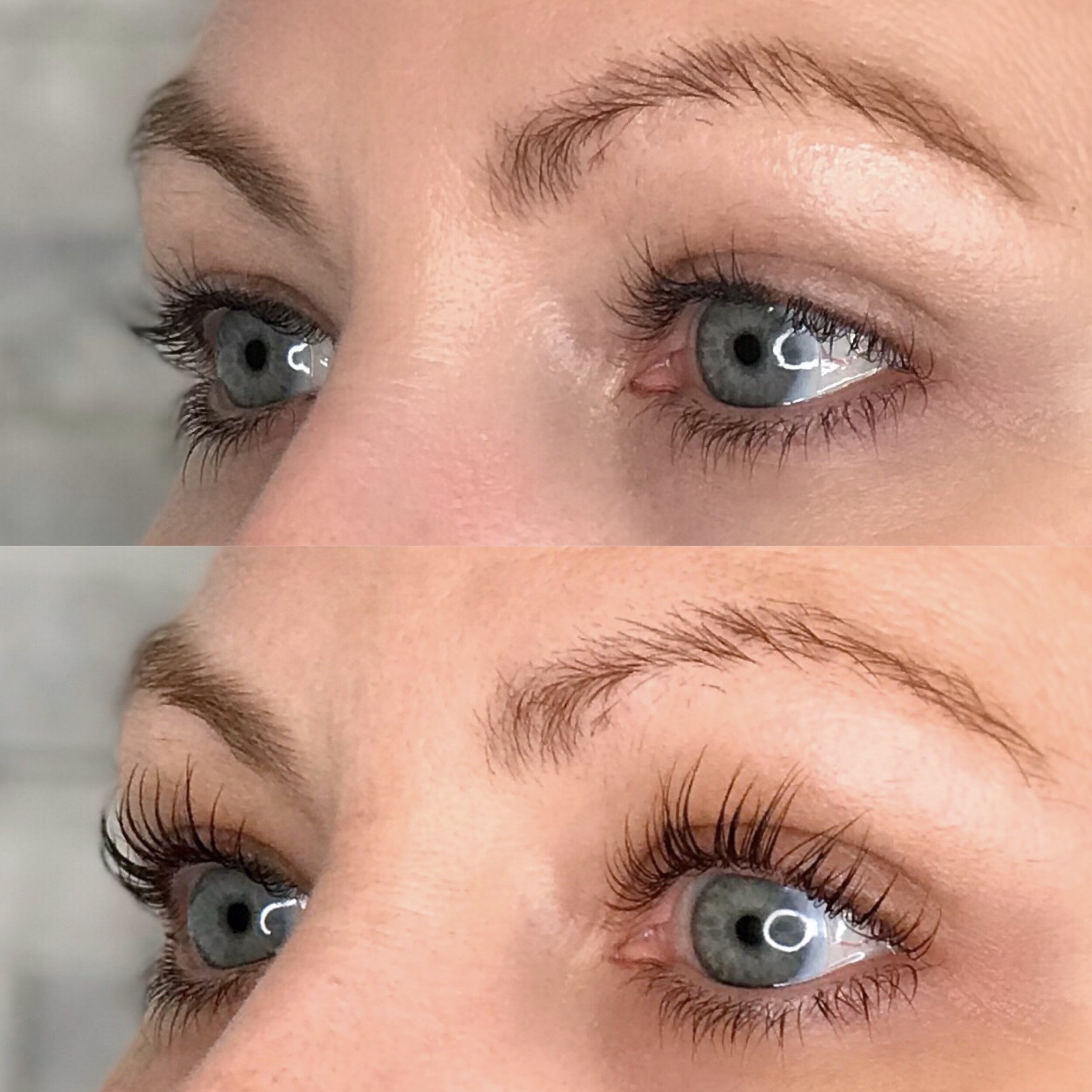 Lash Lift with Blue/Black Lash Tint