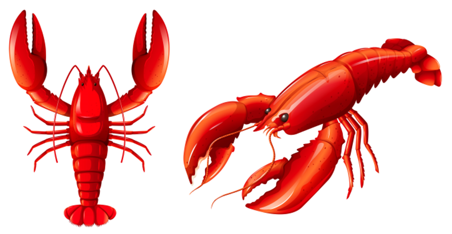 Clambake