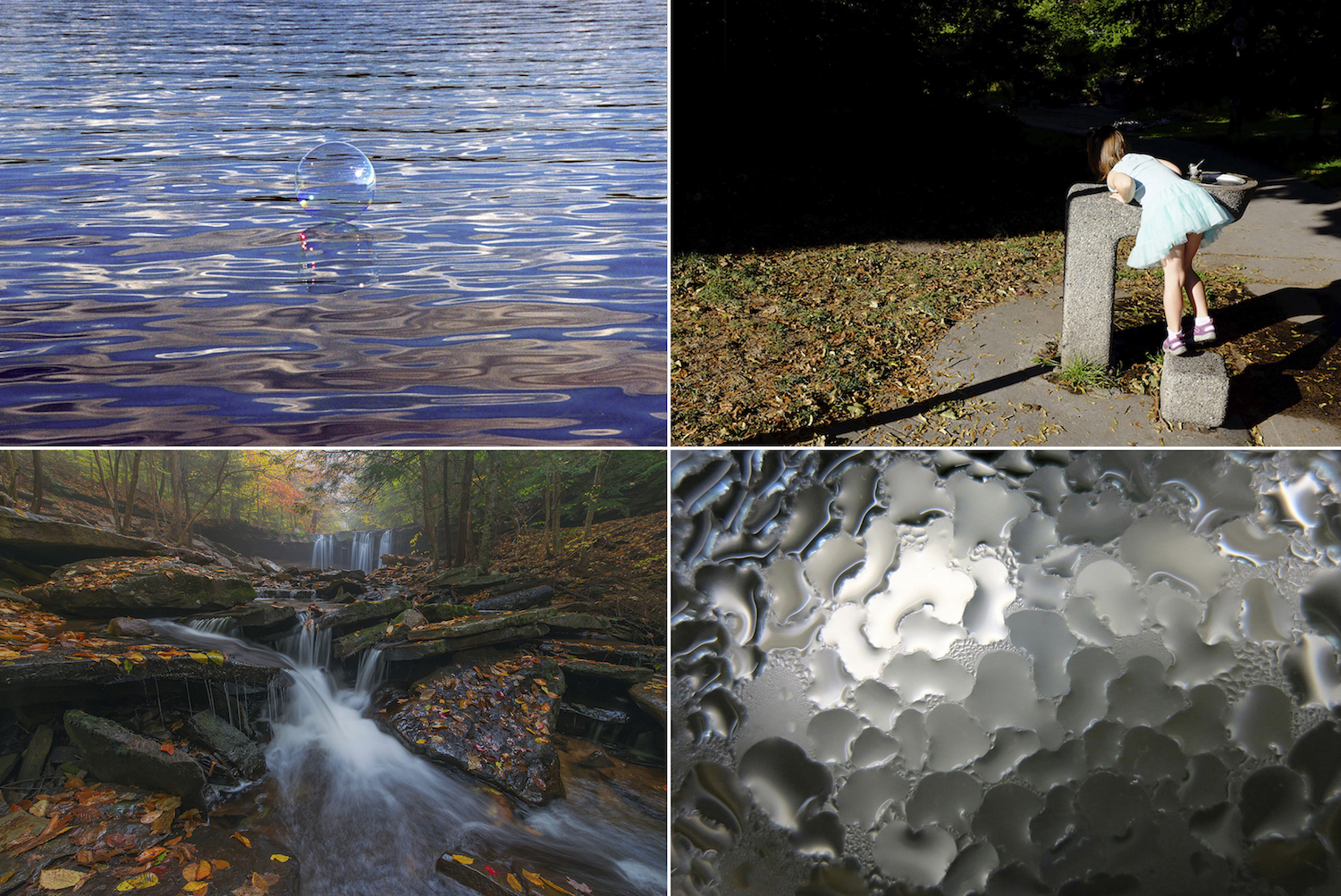 CONTACT Image WATER SUSTAINING LIFE.jpg