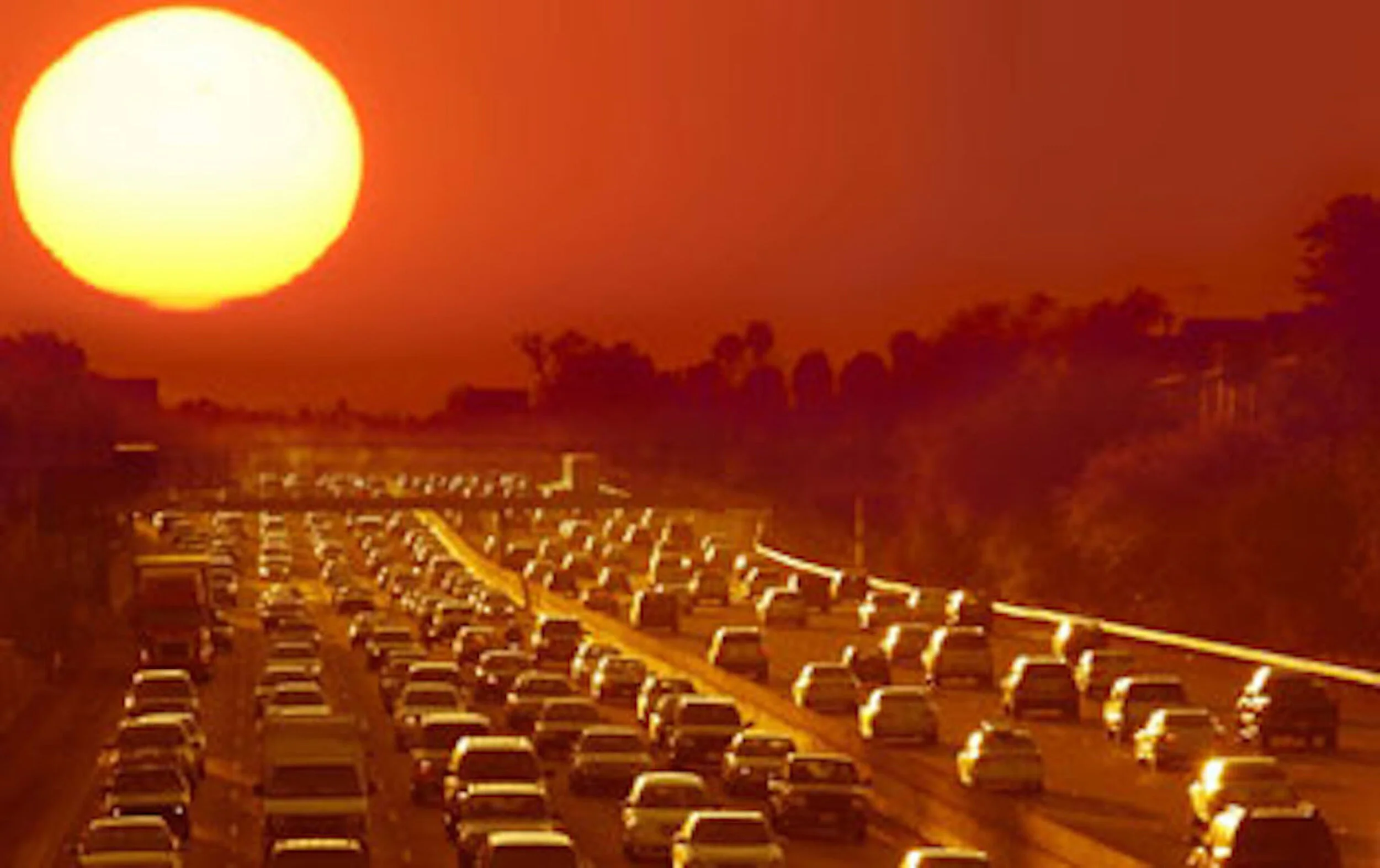 Summer in the city.jpg