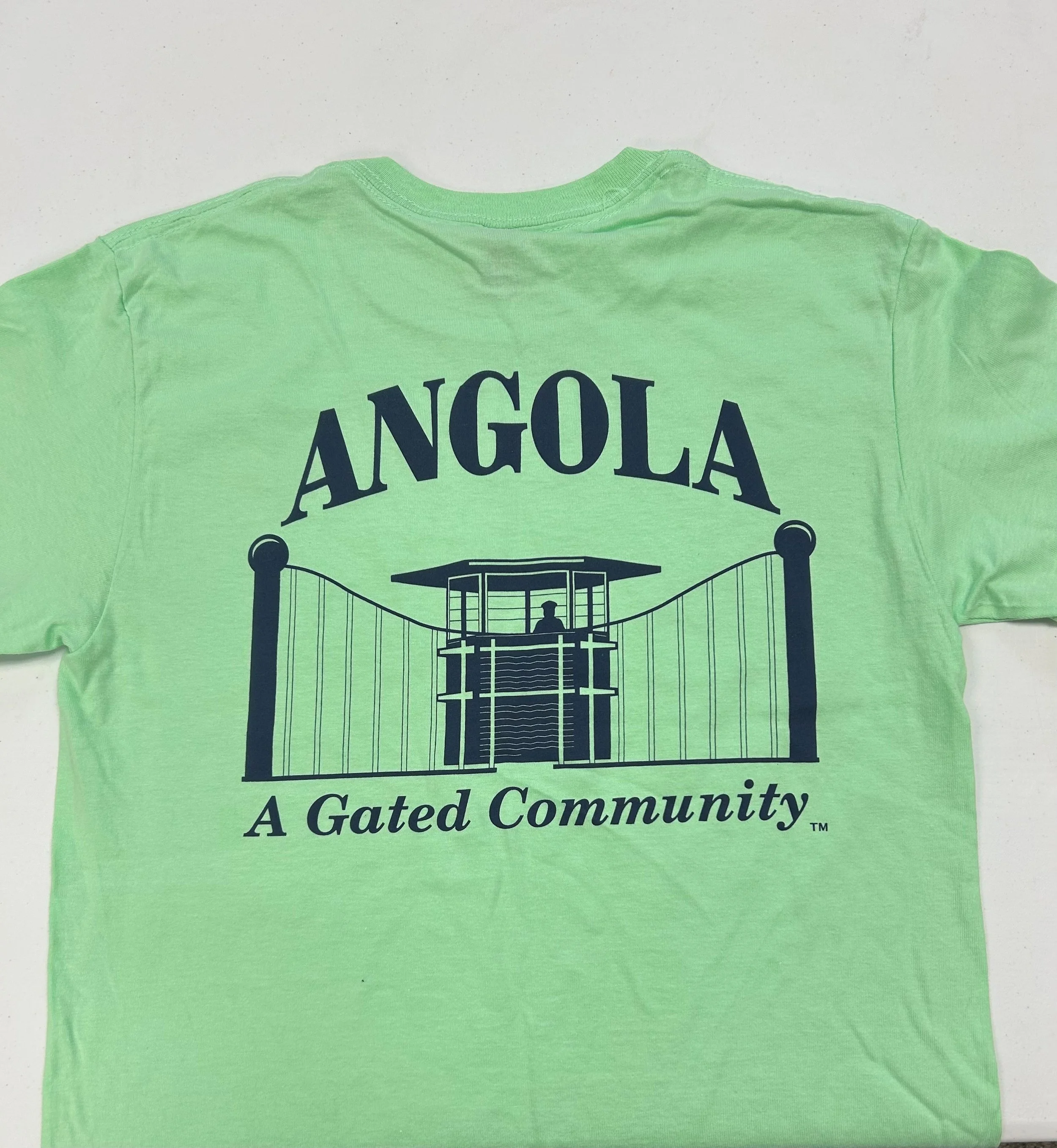 mint and navy gated.jpg