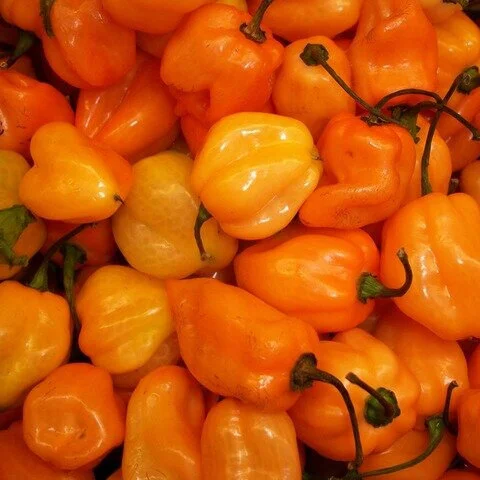 Hot Peppers