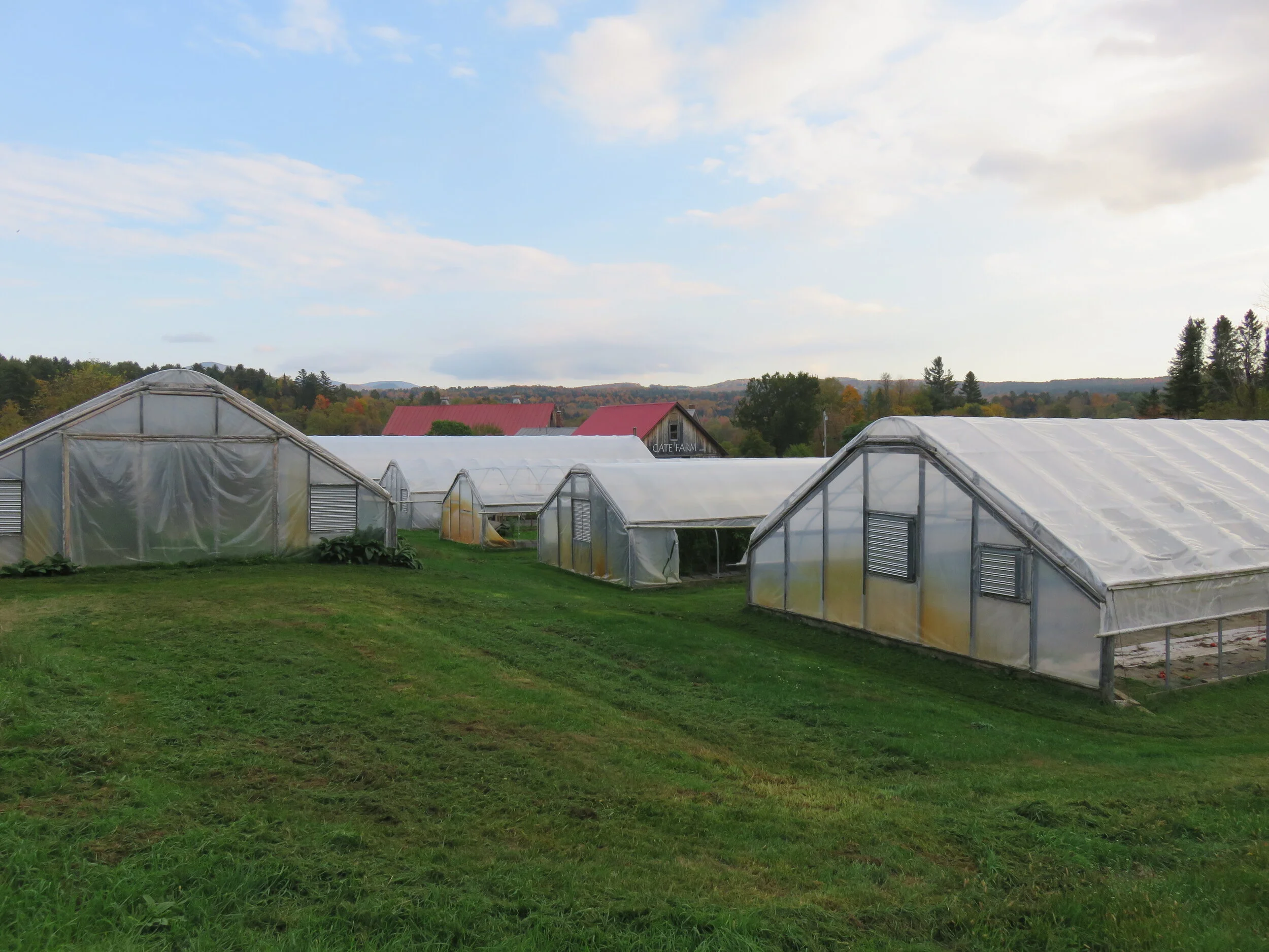 green houses 005.JPG