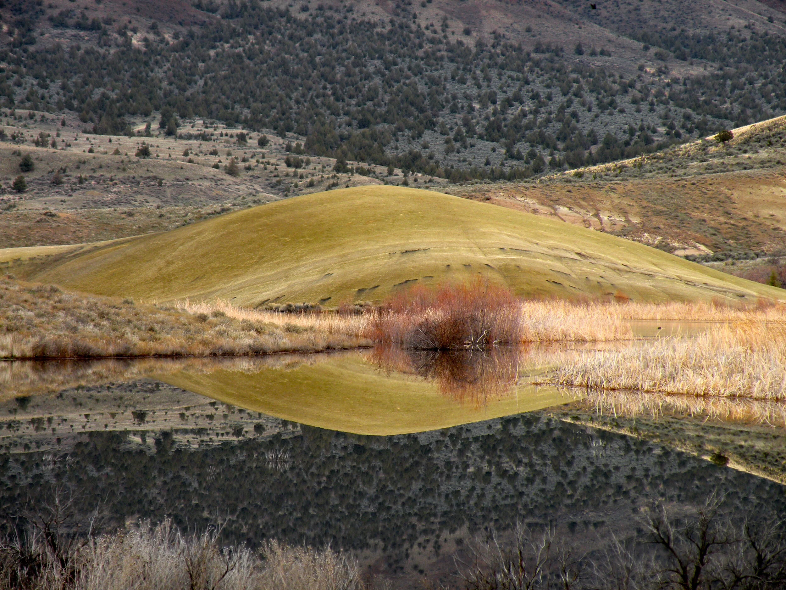 DSCN0461.JPG