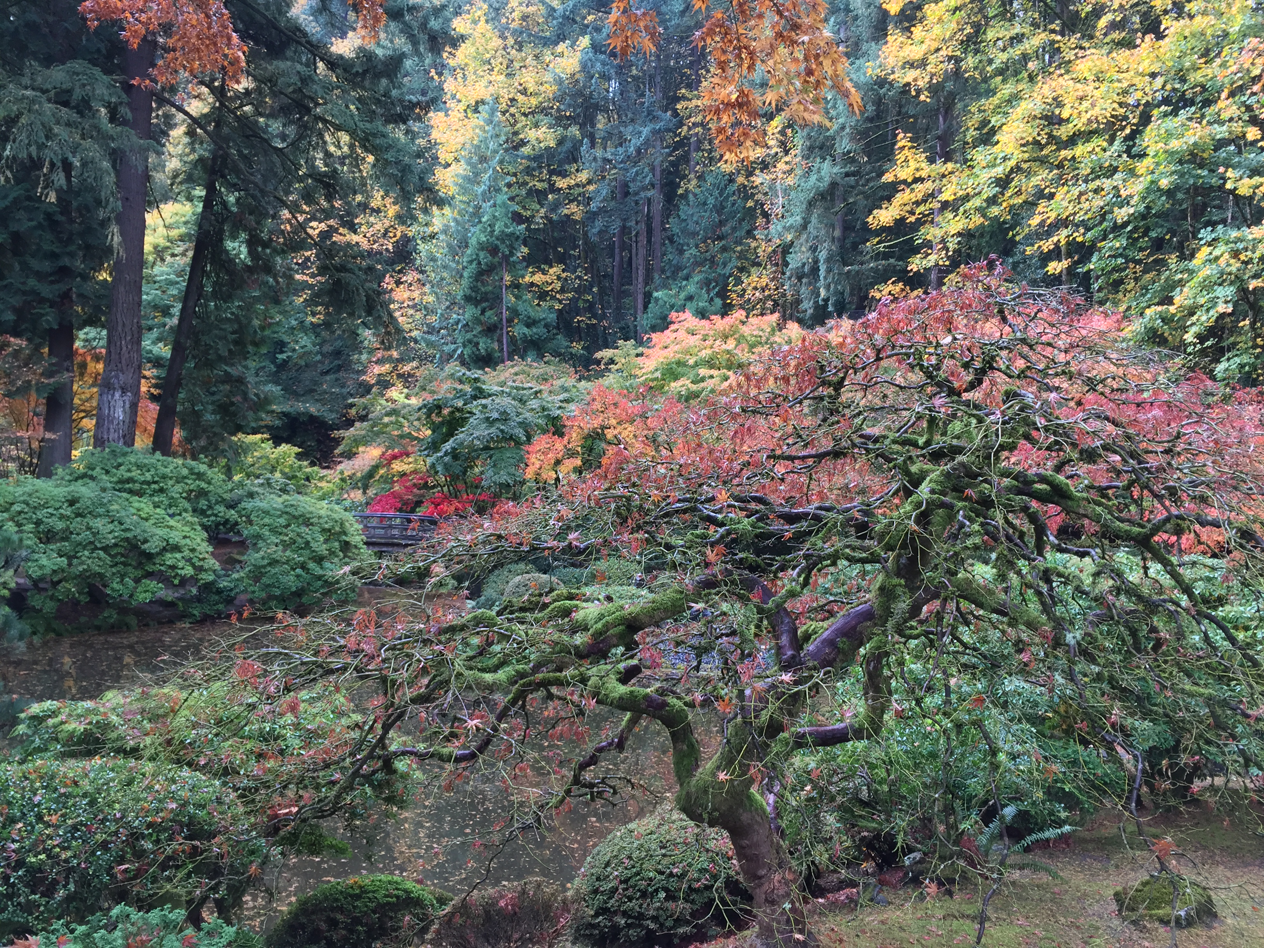 Portland International Japanese Garden