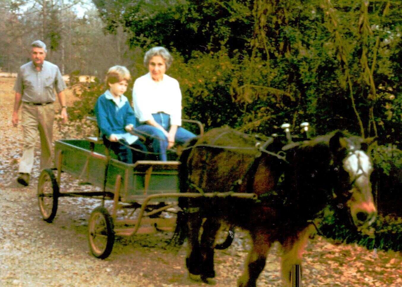 terrell and nan horse and buggy.jpg