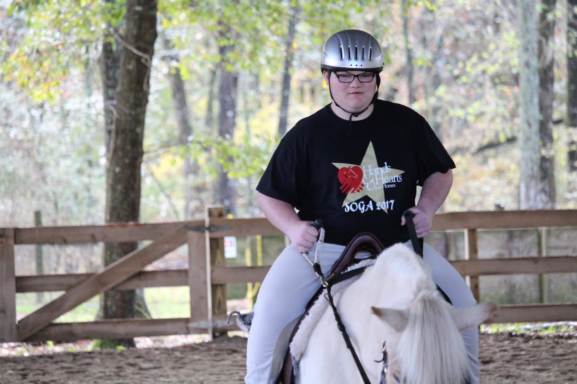 Therapy for.....hippos..?