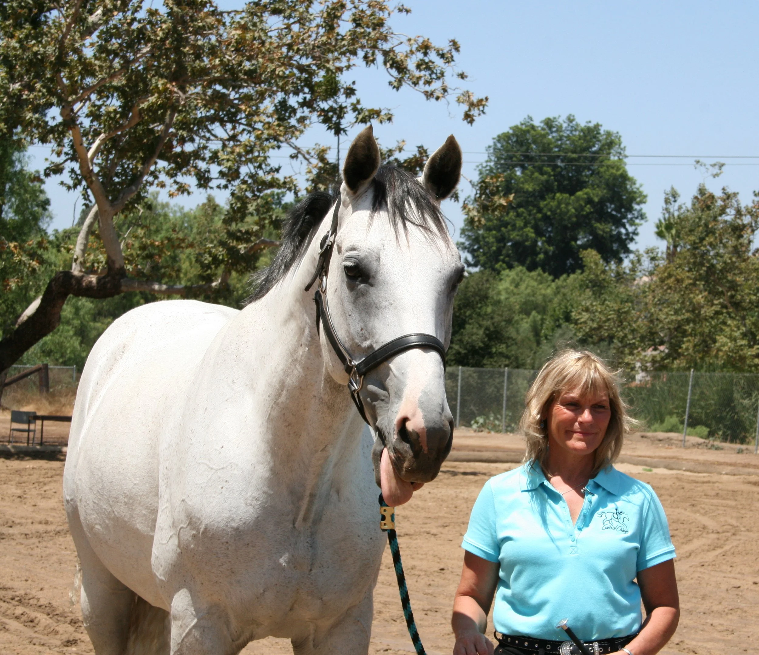 SANDY WEBSTER - MARKETING & DEVELOPMENT DIRECTOR