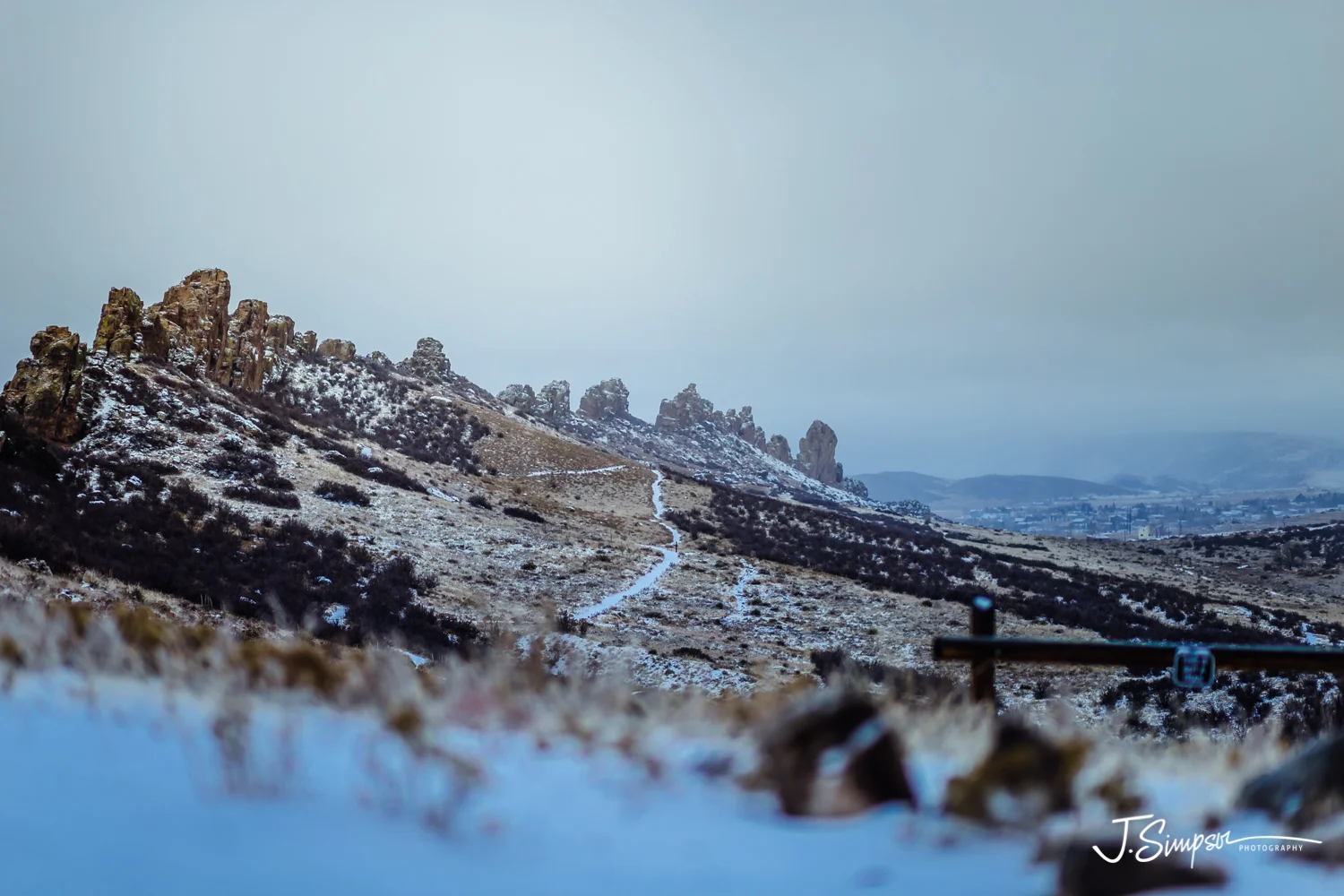 Colorado-Nature-Photographer-003.jpg