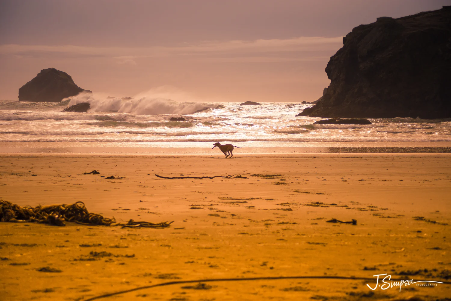 Nature-Photography-Justice-Simpson-002.jpg