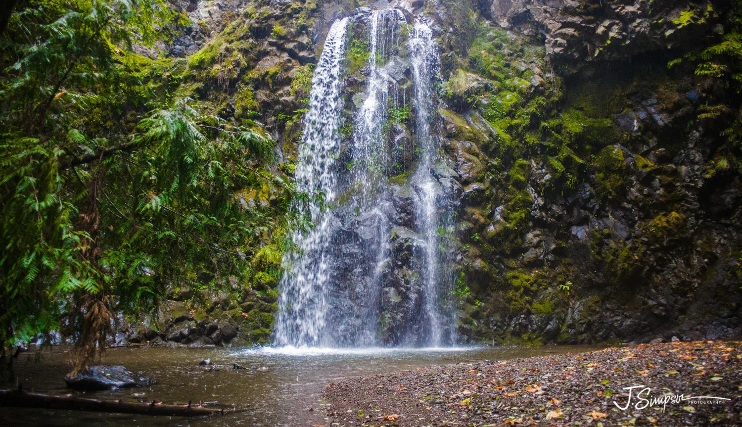 Nature-Photography-Justice-Simpson-009.jpg