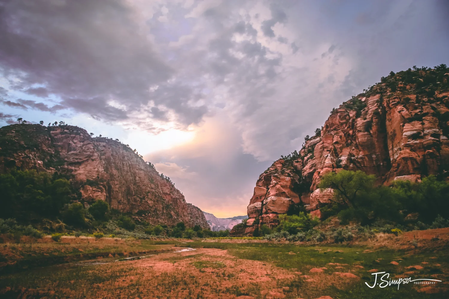 Nature-Photography-Justice-Simpson-012.jpg