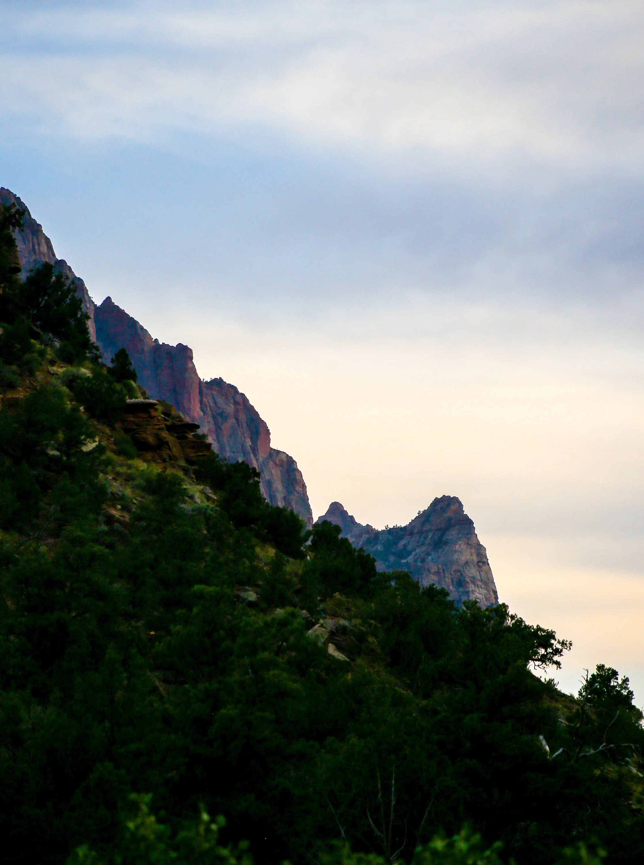 ZION_NATIONAL_PARK_LANDSCAPE_PHOTOGRAPHER_JUSTICE_SIMPSON_PHOTOGRAPHER_OUTDOOR_UTAH-18.JPG