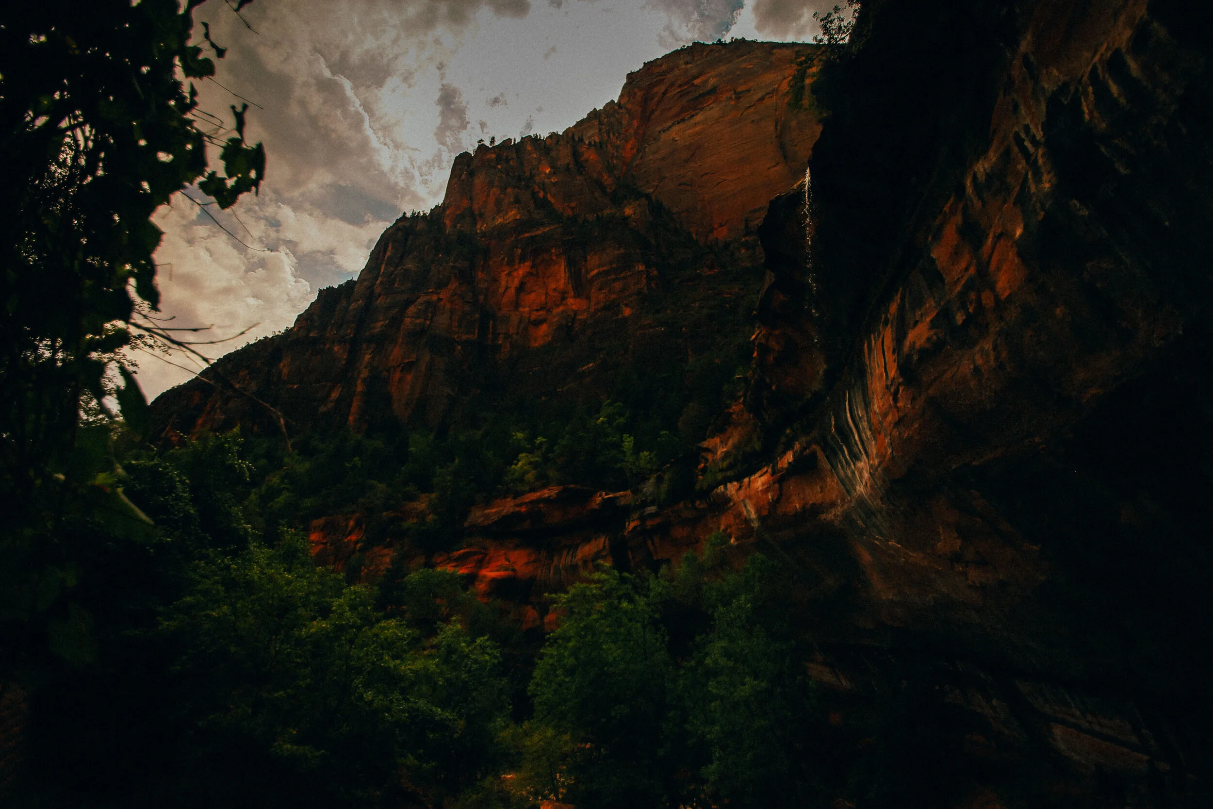 ZION_NATIONAL_PARK_LANDSCAPE_PHOTOGRAPHER_JUSTICE_SIMPSON_PHOTOGRAPHER_OUTDOOR_UTAH-12.JPG