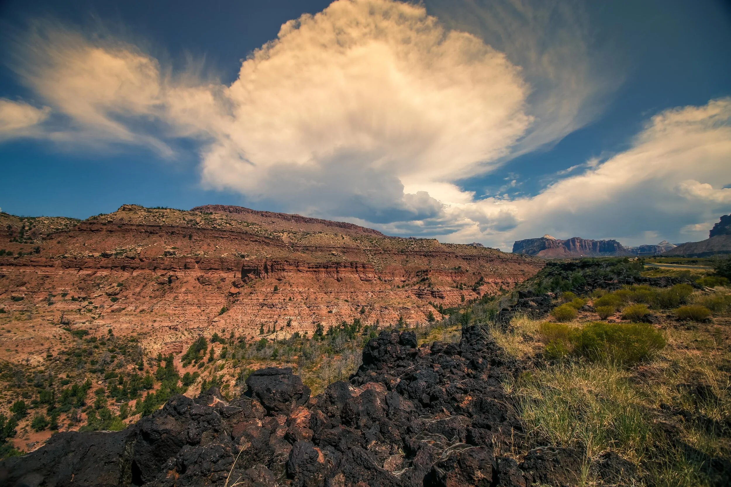 ZION_NATIONAL_PARK_LANDSCAPE_PHOTOGRAPHER_JUSTICE_SIMPSON_PHOTOGRAPHER_OUTDOOR_UTAH-4.JPG