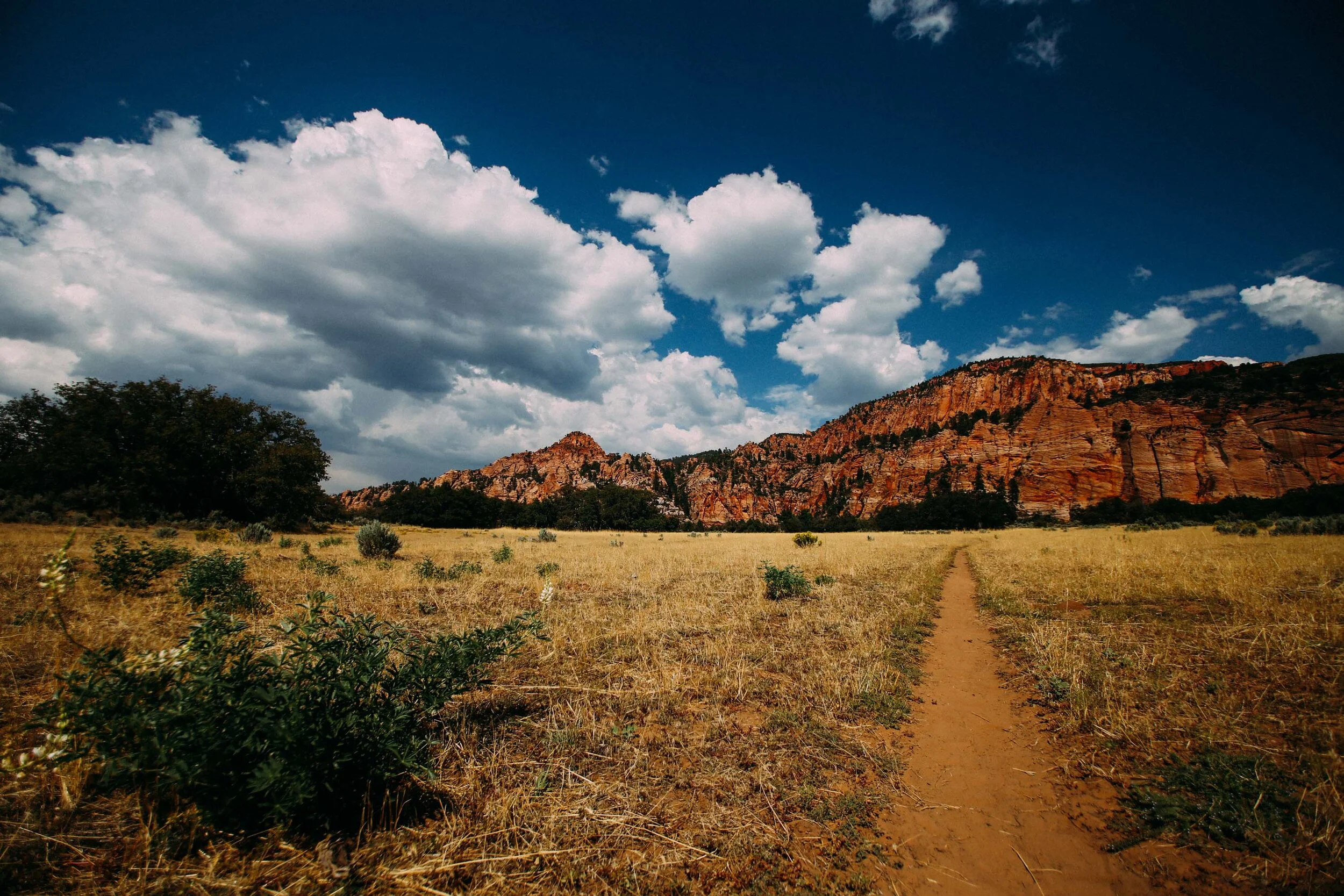 ZION_NATIONAL_PARK_LANDSCAPE_PHOTOGRAPHER_JUSTICE_SIMPSON_PHOTOGRAPHER_OUTDOOR_UTAH.JPG