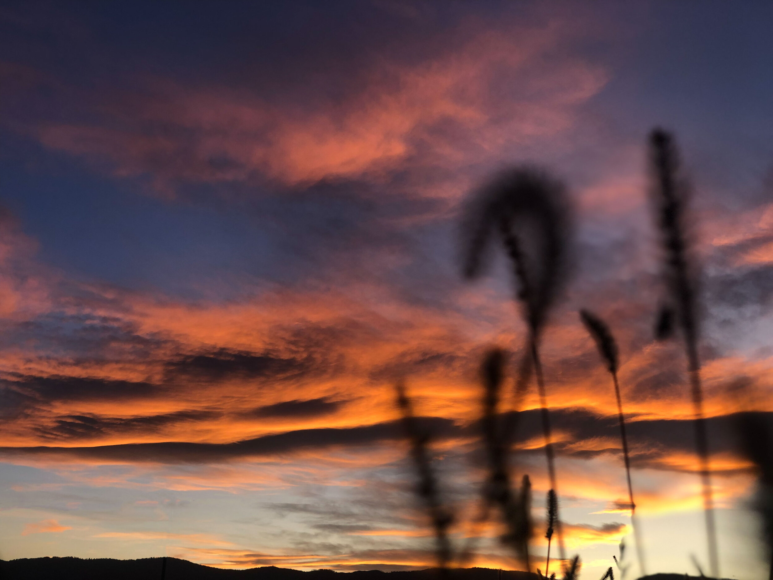 IPHONE_PHOTOGRAPHY_IPHONEOGRAPHY_CELL_PHONE_PHOTOS_JUSTICE_SIMPSON_PHOTOGRAPHER_FALL_PHOTO_LANDSCAPES-6.JPG